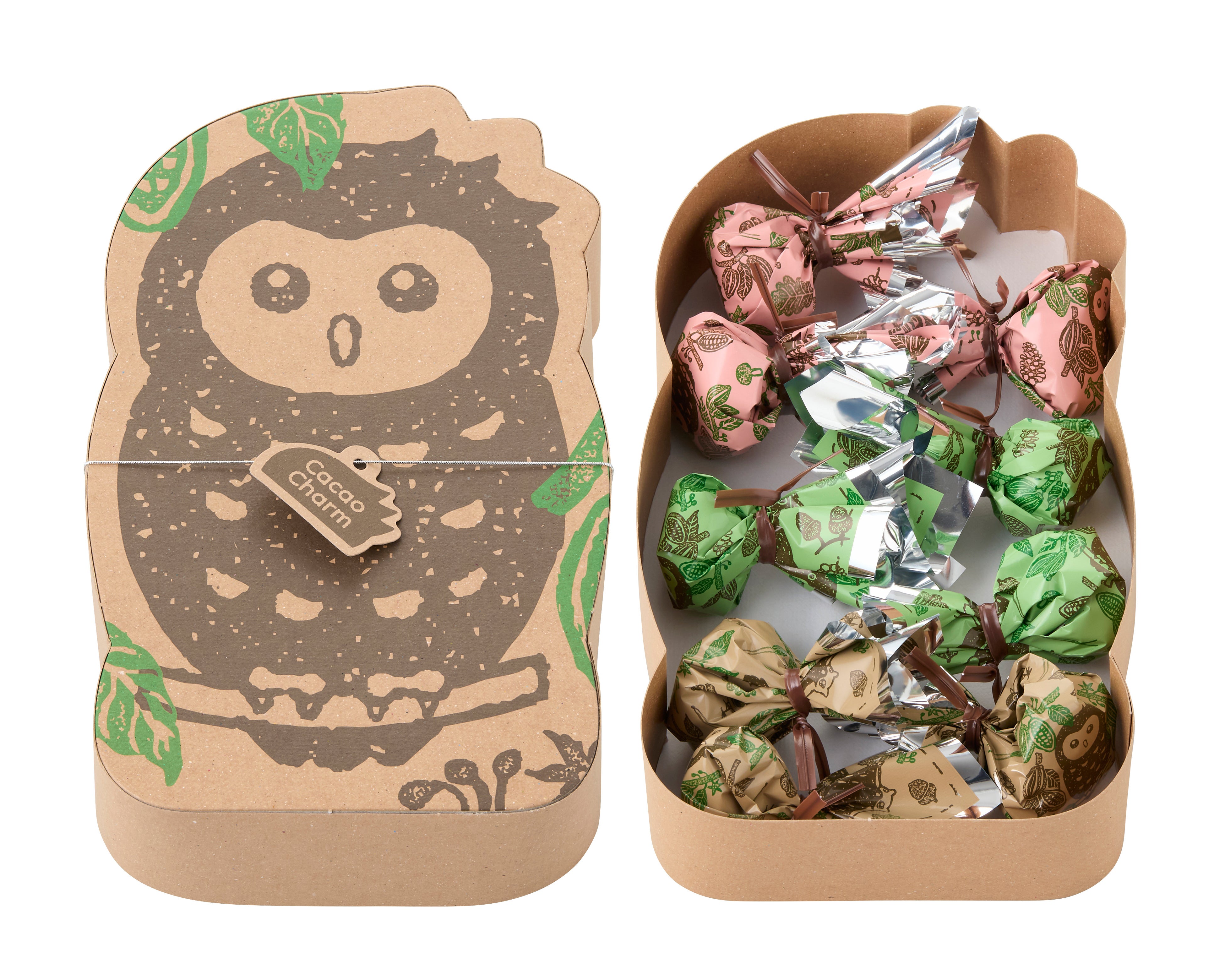 Cacao Charm Owl Box