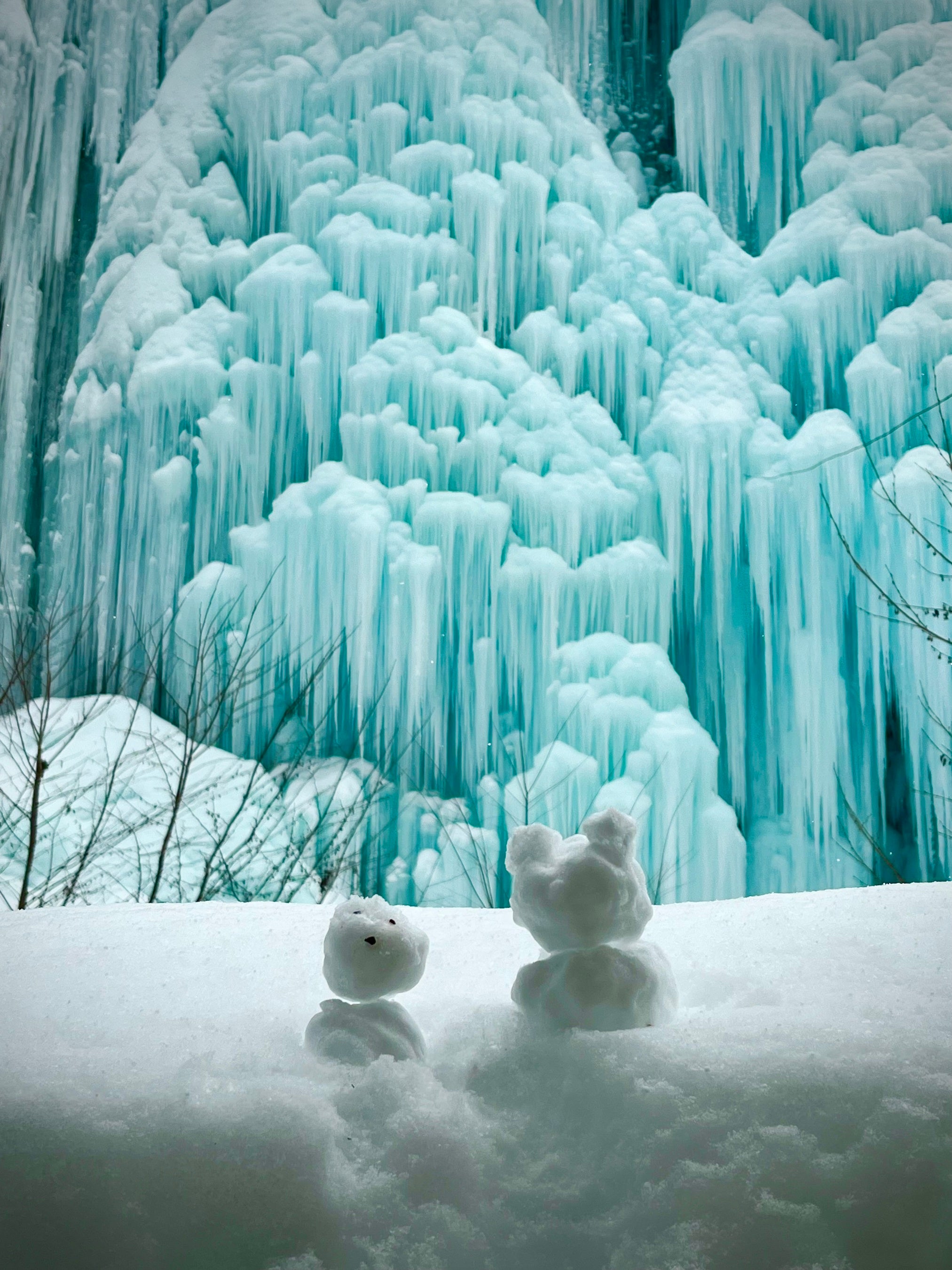 Entrada ganadora del Concurso de Fotografía de 2025