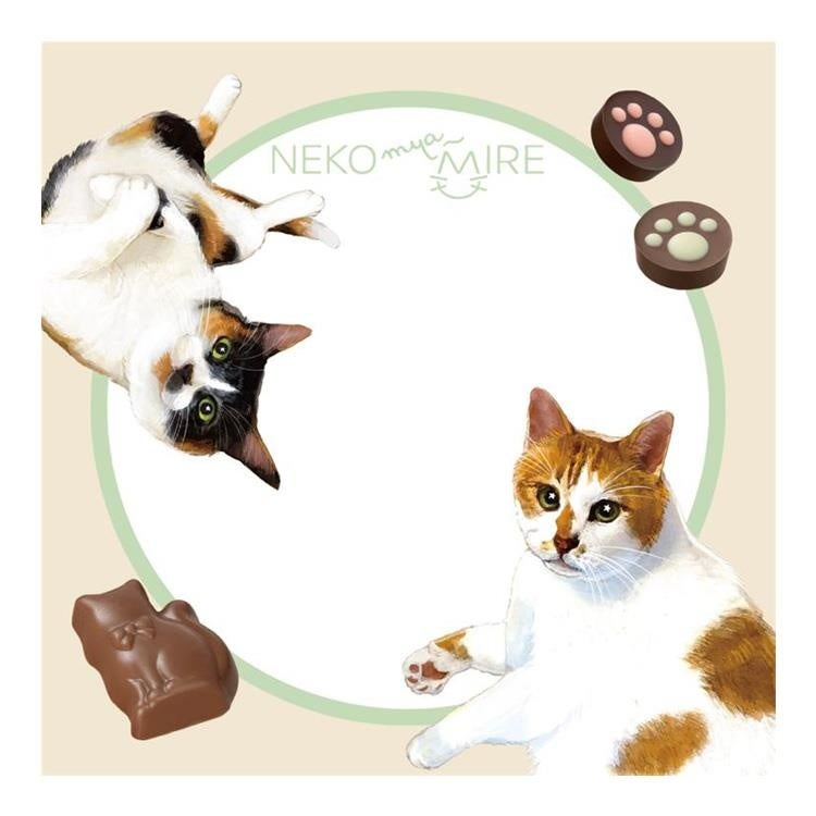 Memo Pad Pages Example