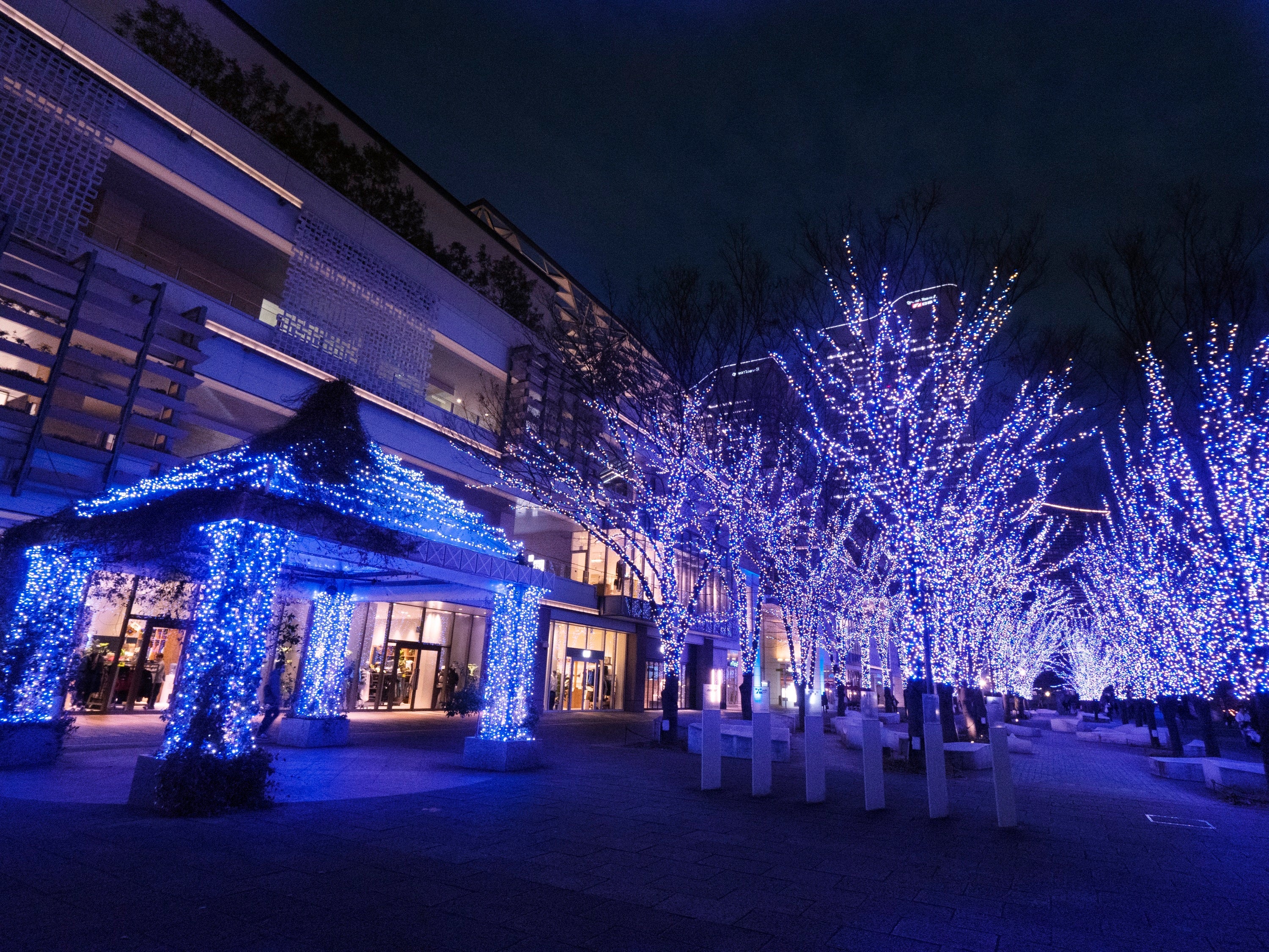 Yokohama Milight