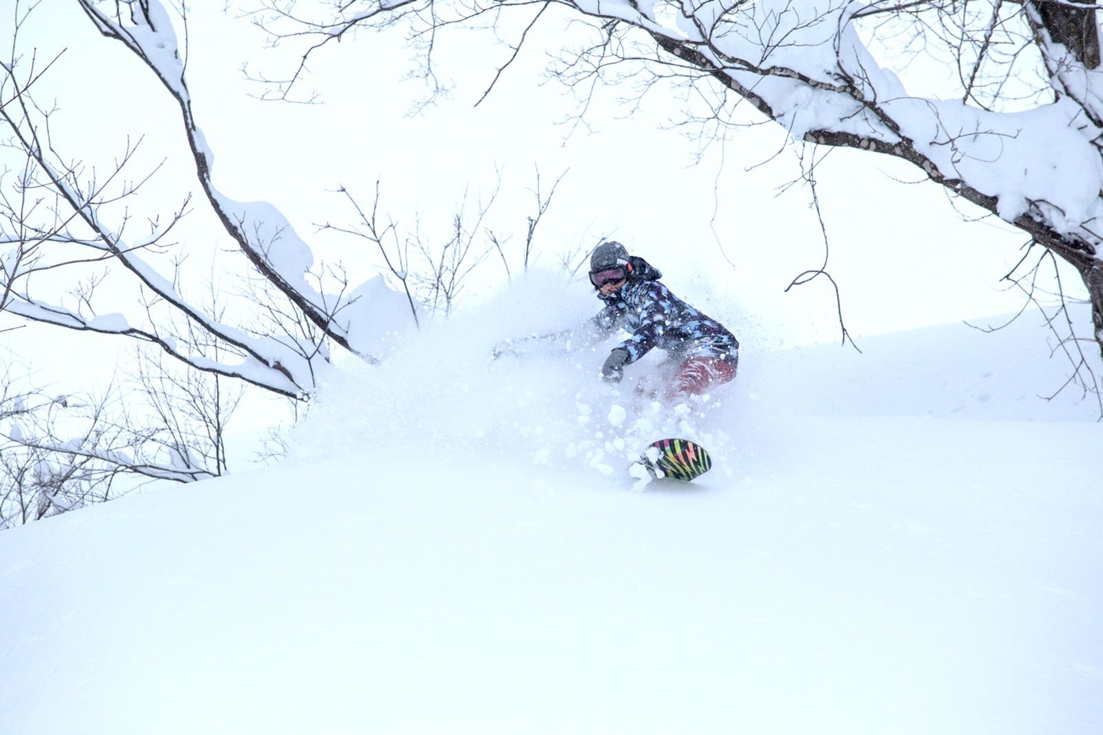 눈놀이를 즐기는 아이들