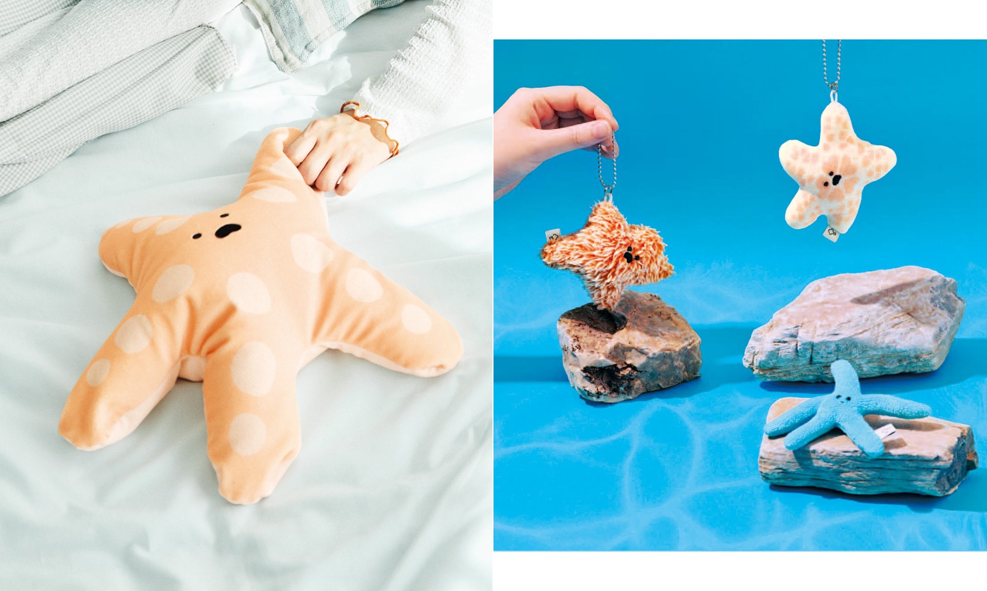 Lazy Starfish Products