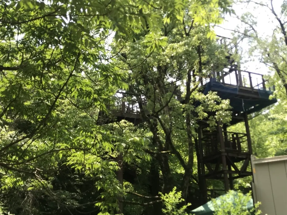 Solaado canopy walkway