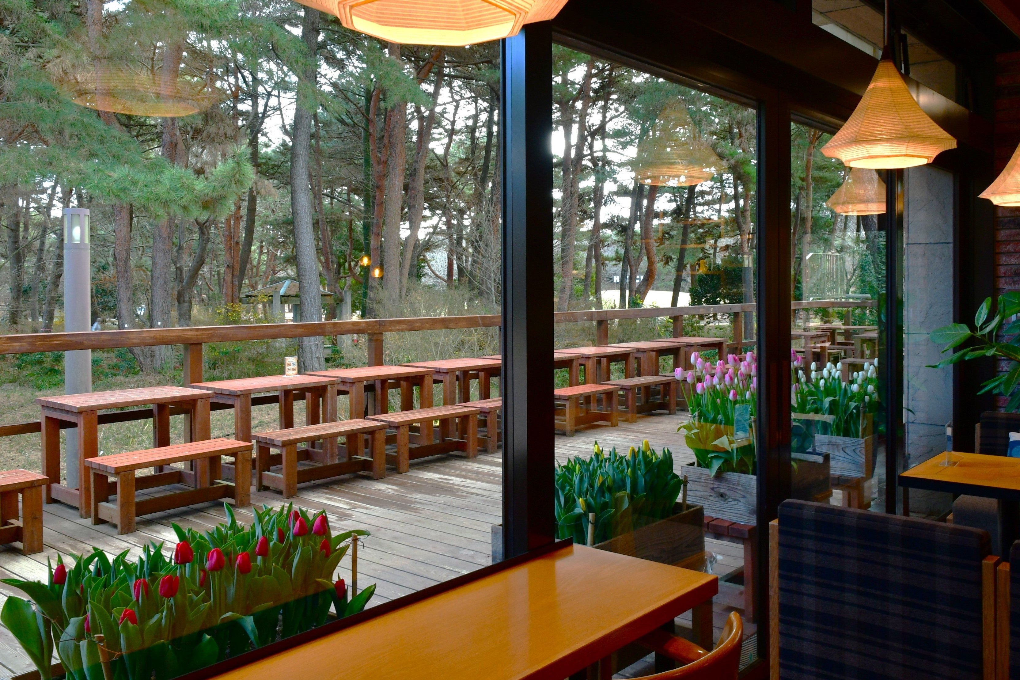 从休息中心内部看到的景色