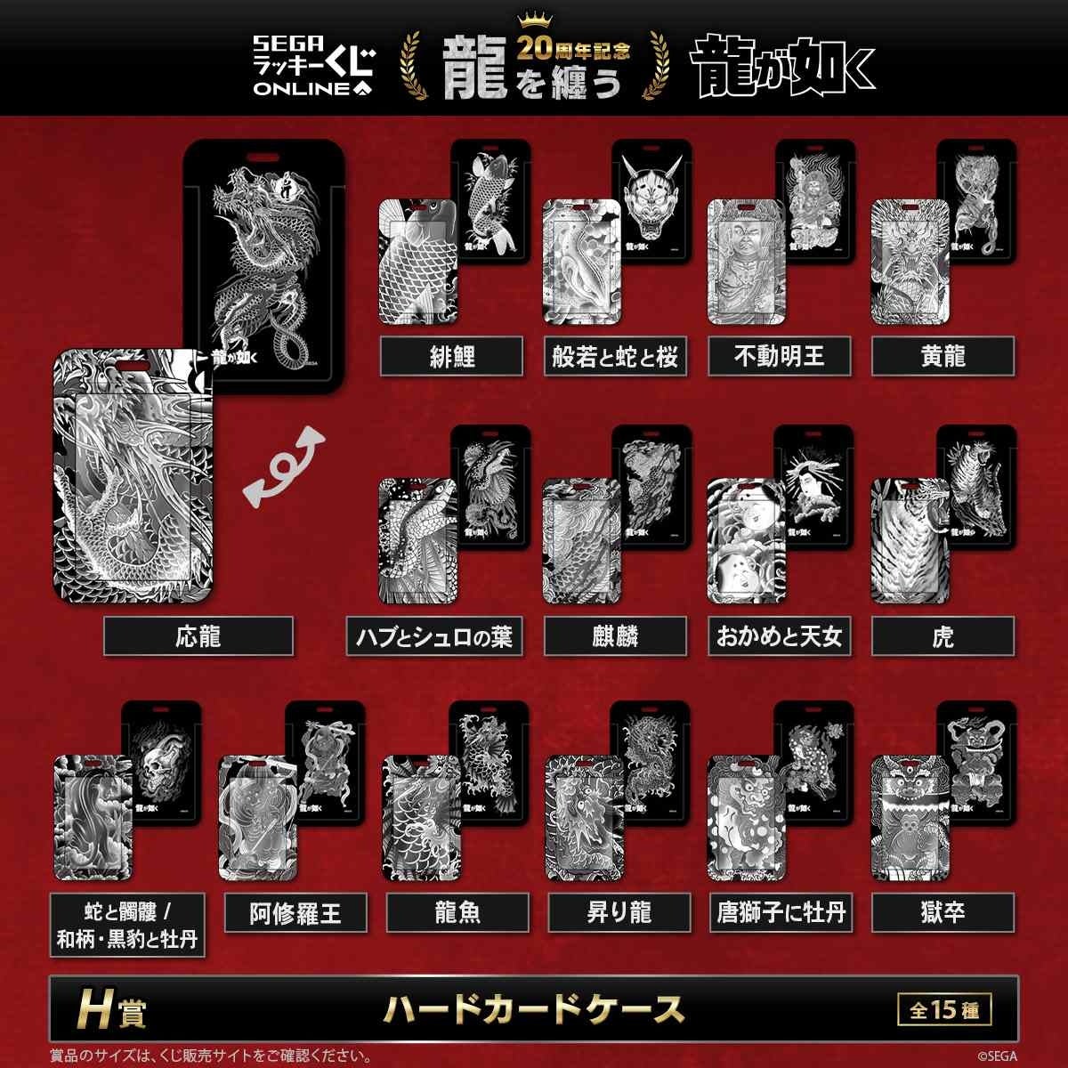 H상: 하드 카드 케이스