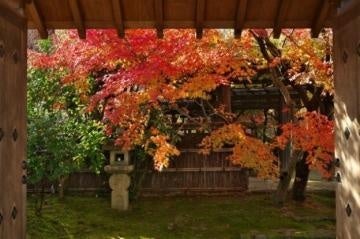 Iluminación otoñal del Jardín Koko-en