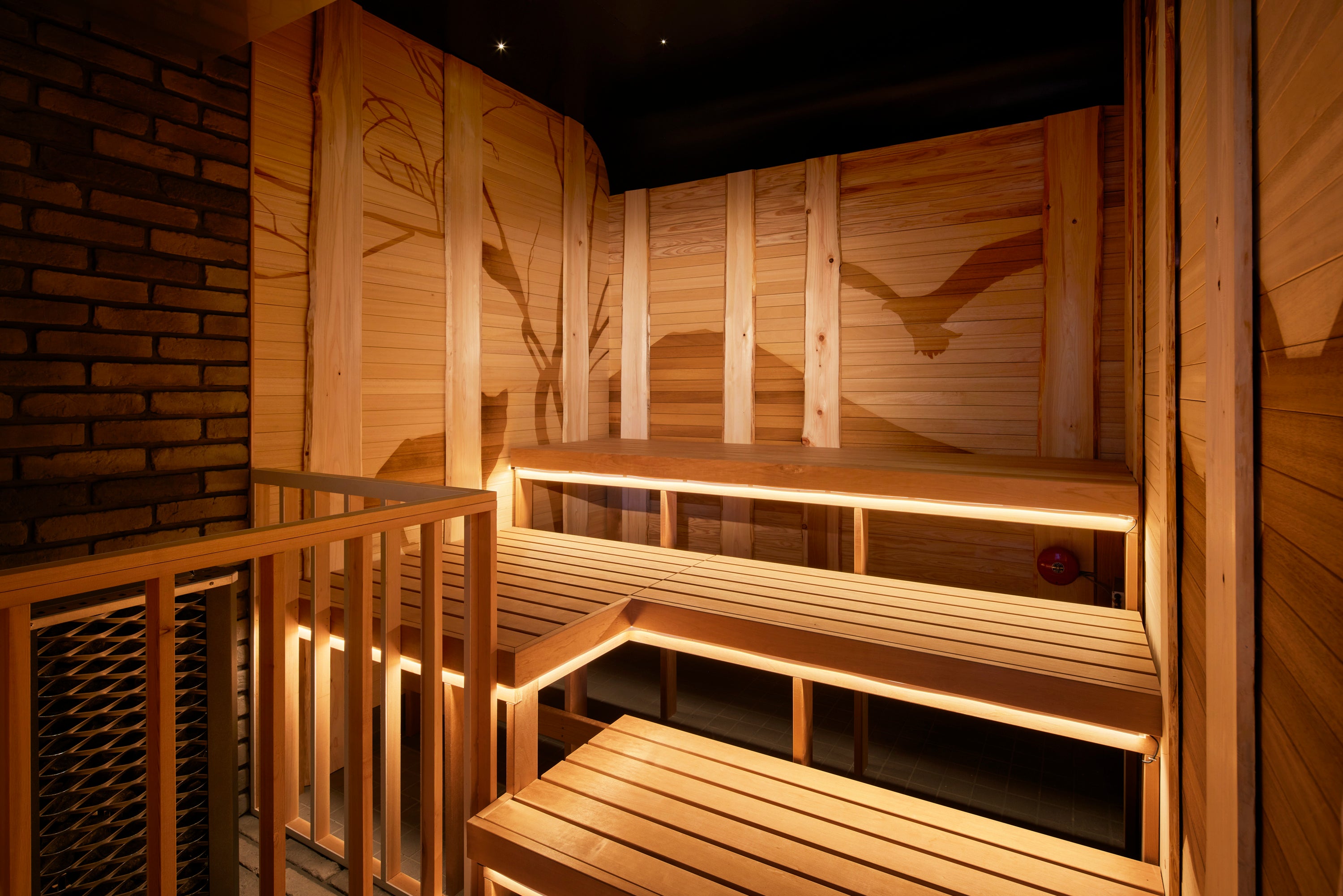 Men's Sauna