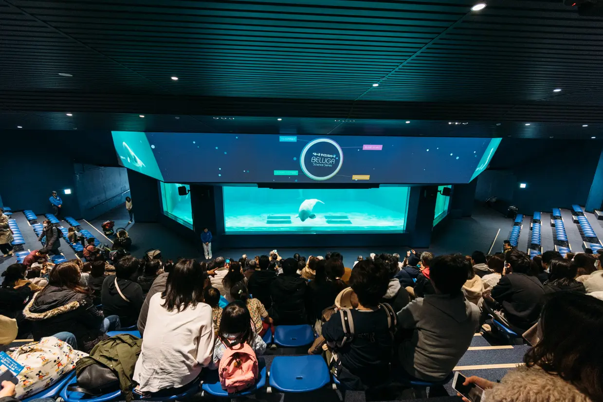 최첨단 기술 전시가 있는 마린 시어터