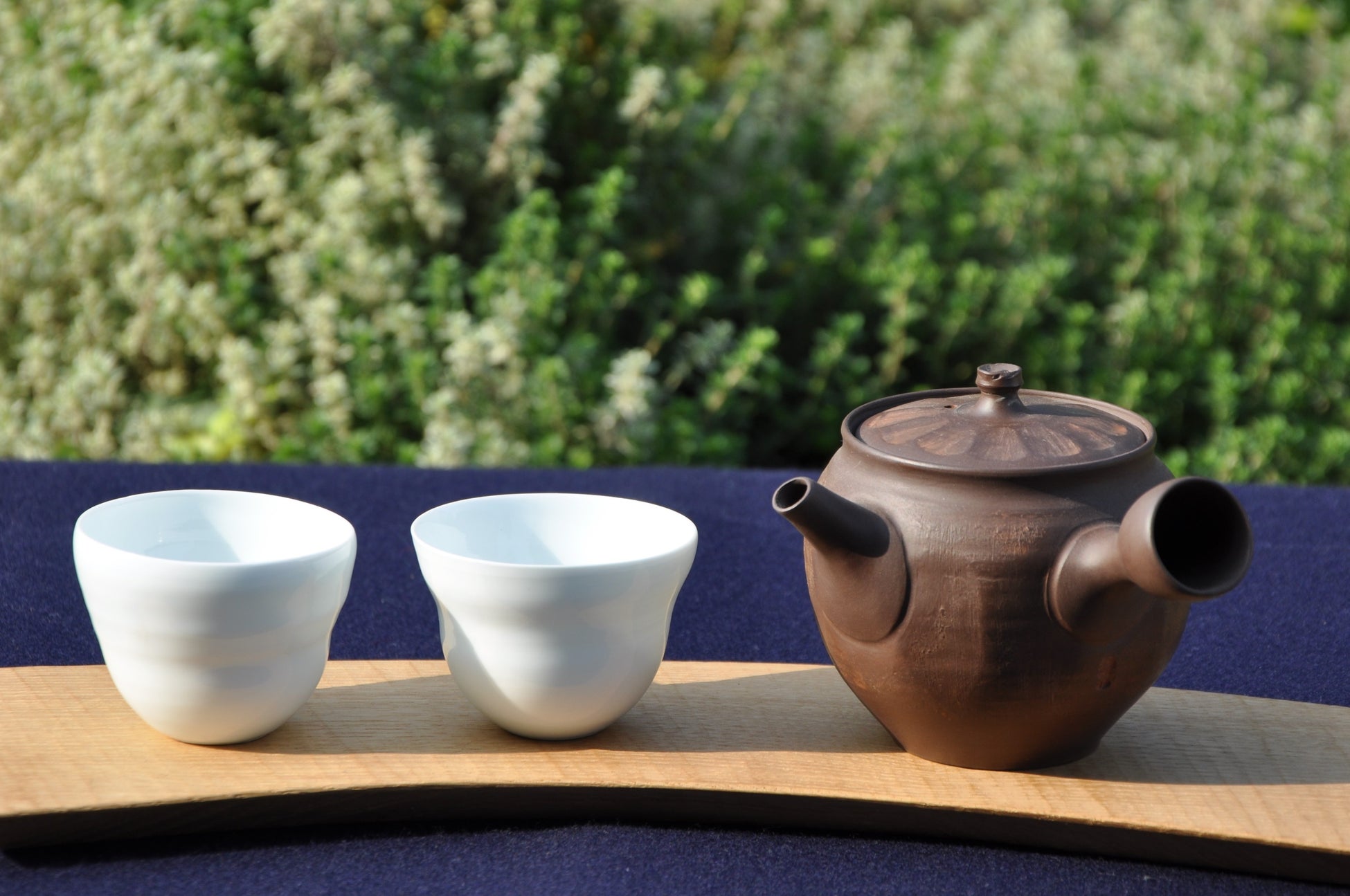 Tea brewing workshop