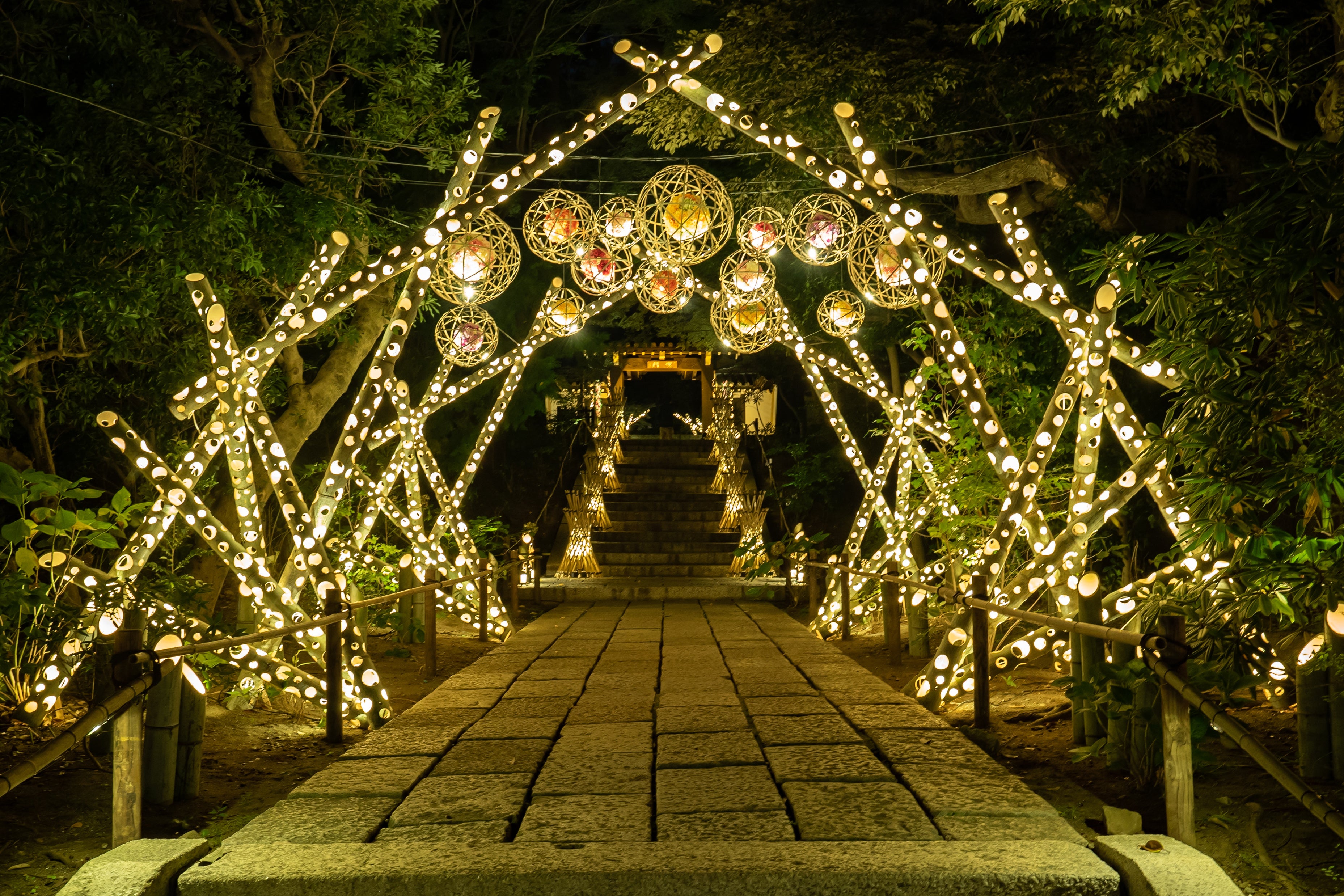 HANA・BIYORI's Bamboo Illumination Event 'HANAakari' Gets Upgraded for 2025