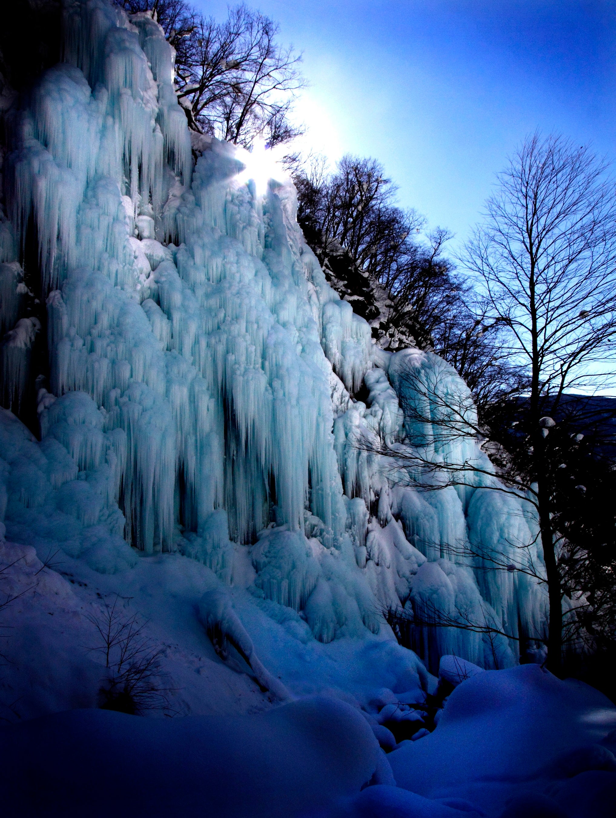 Ganador del gran premio del Concurso de Fotografía de 2011