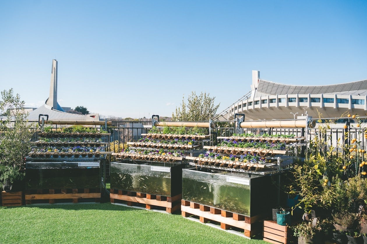 เติมเต็มจิตใจและร่างกายในใจกลางเมือง - AGRIKO FARM PW สวนสาธารณะโยโยกิเปิดแล้ว