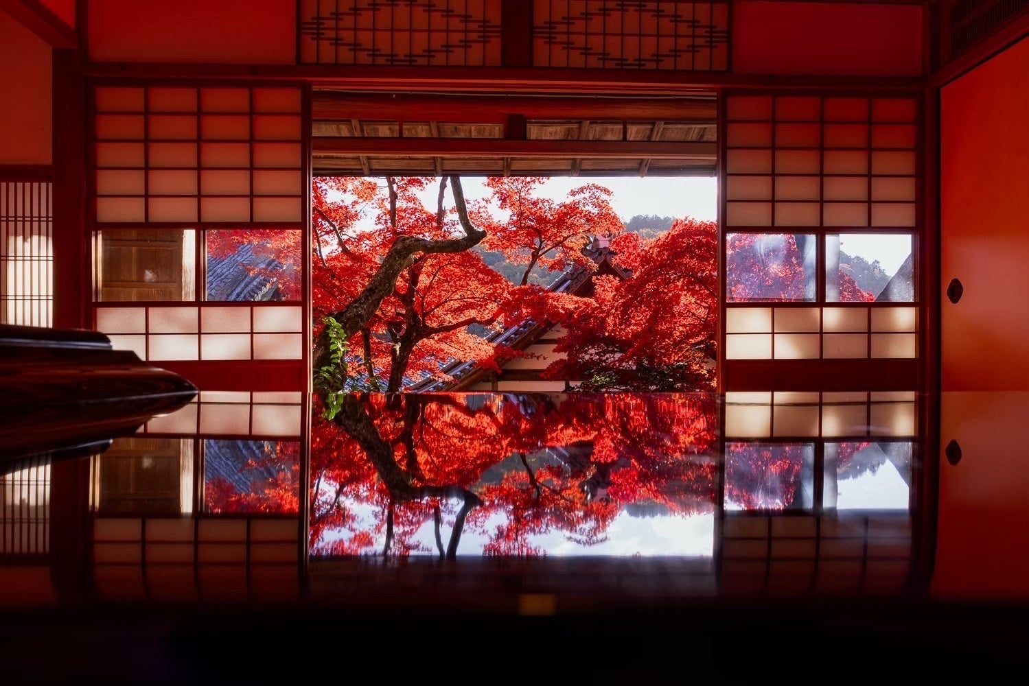 Stunning Autumn Views! Yanagidani Kannon Yōkokuji Temple Hosts