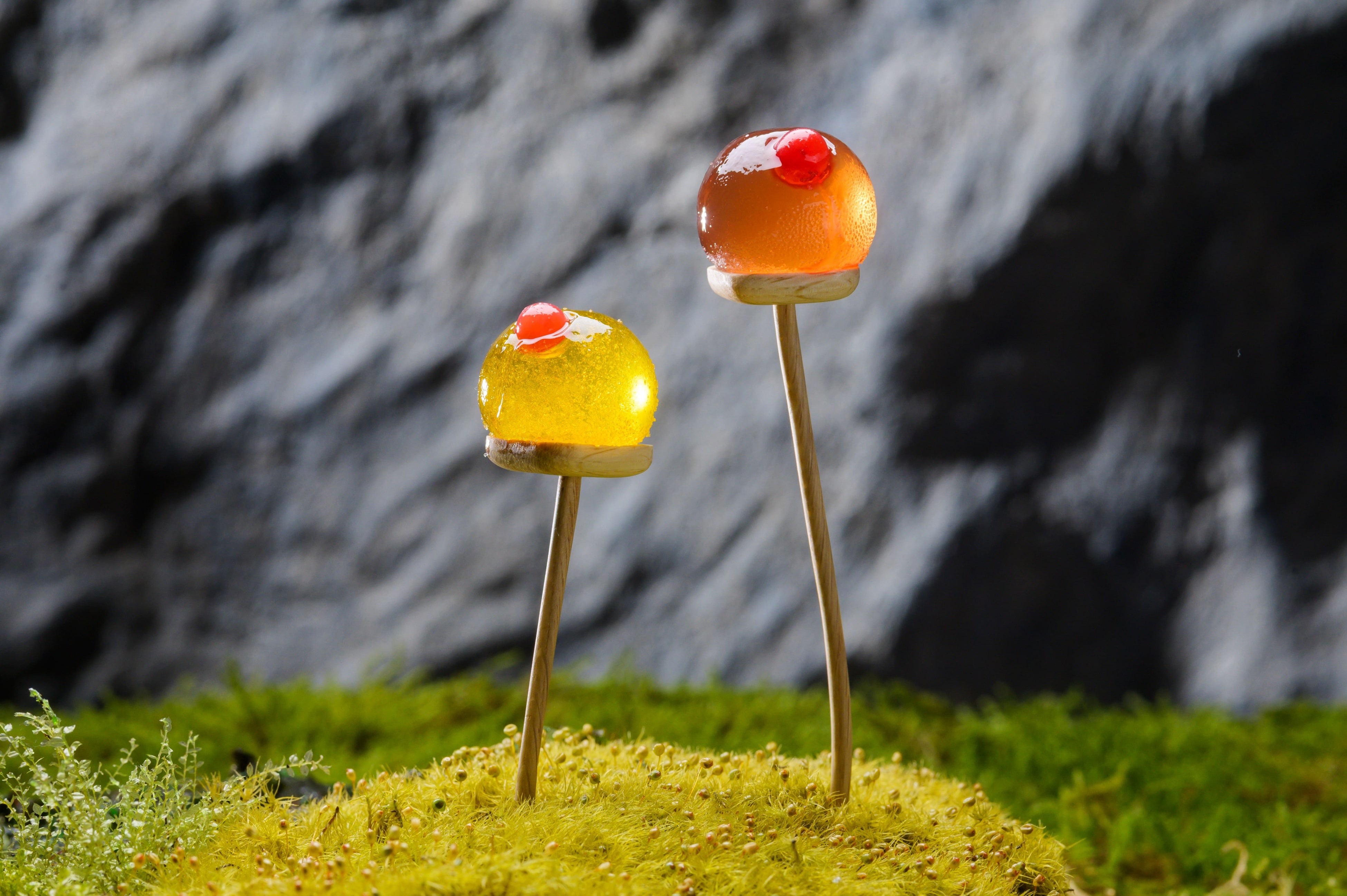 以玉藓为灵感的果酱软糖