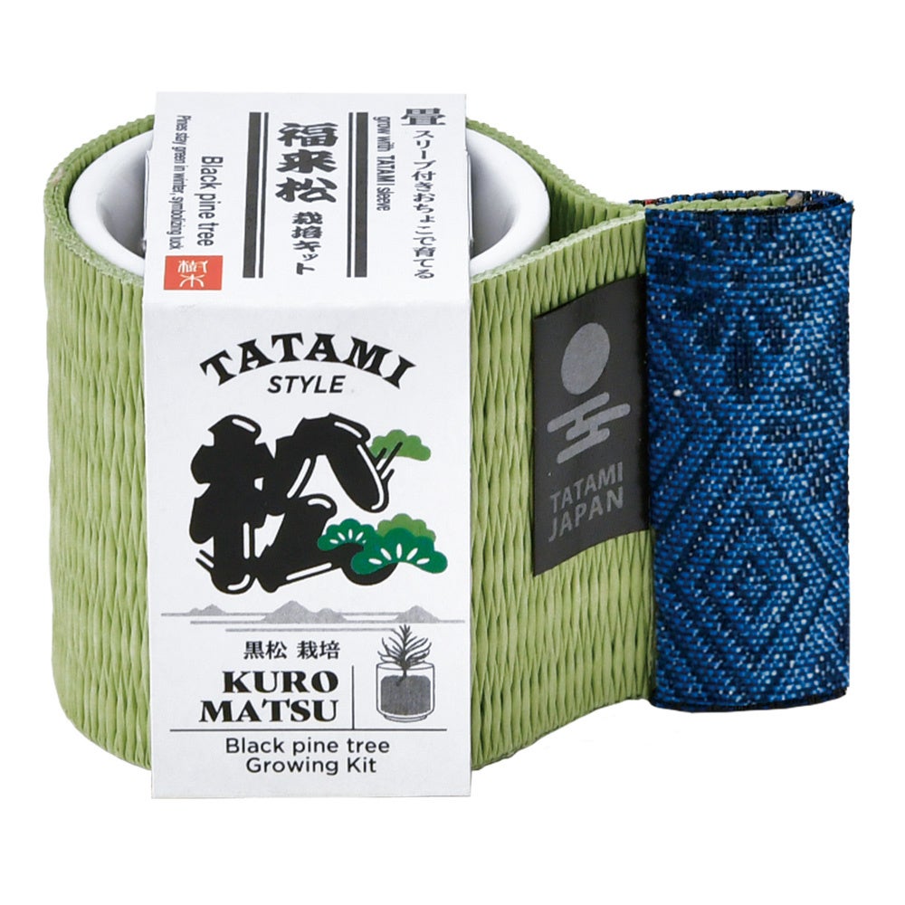 Pine cultivation kit