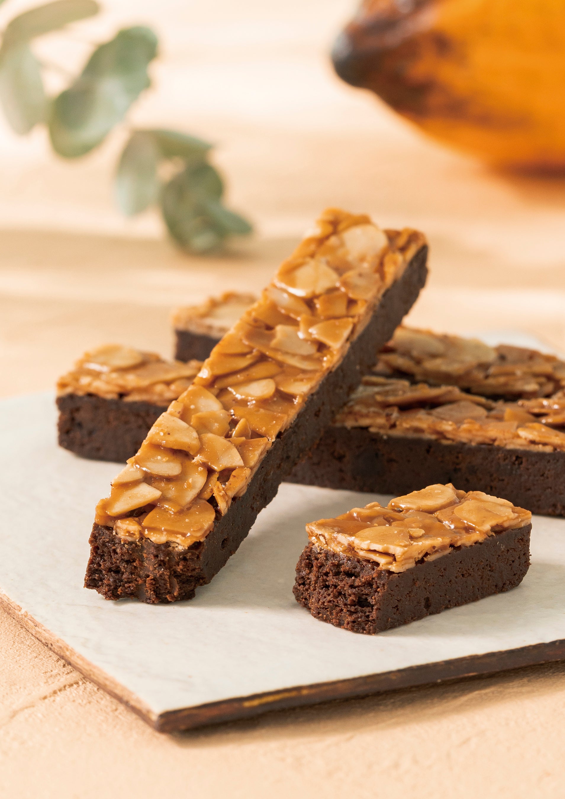 Godiva Launches Chocolat Florentine with Kumamoto Shiranui Citrus