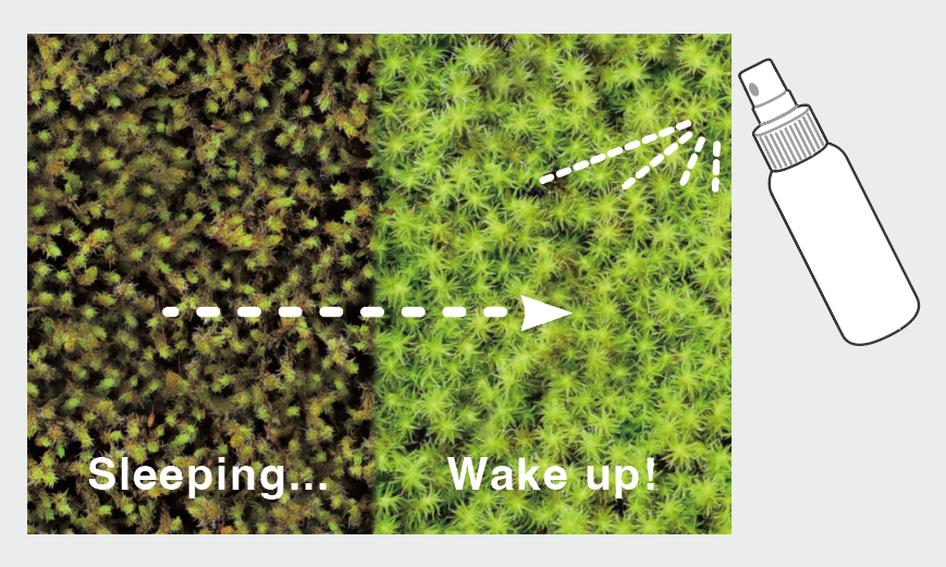 눈에 보이는 변화를 즐길 수 있습니다