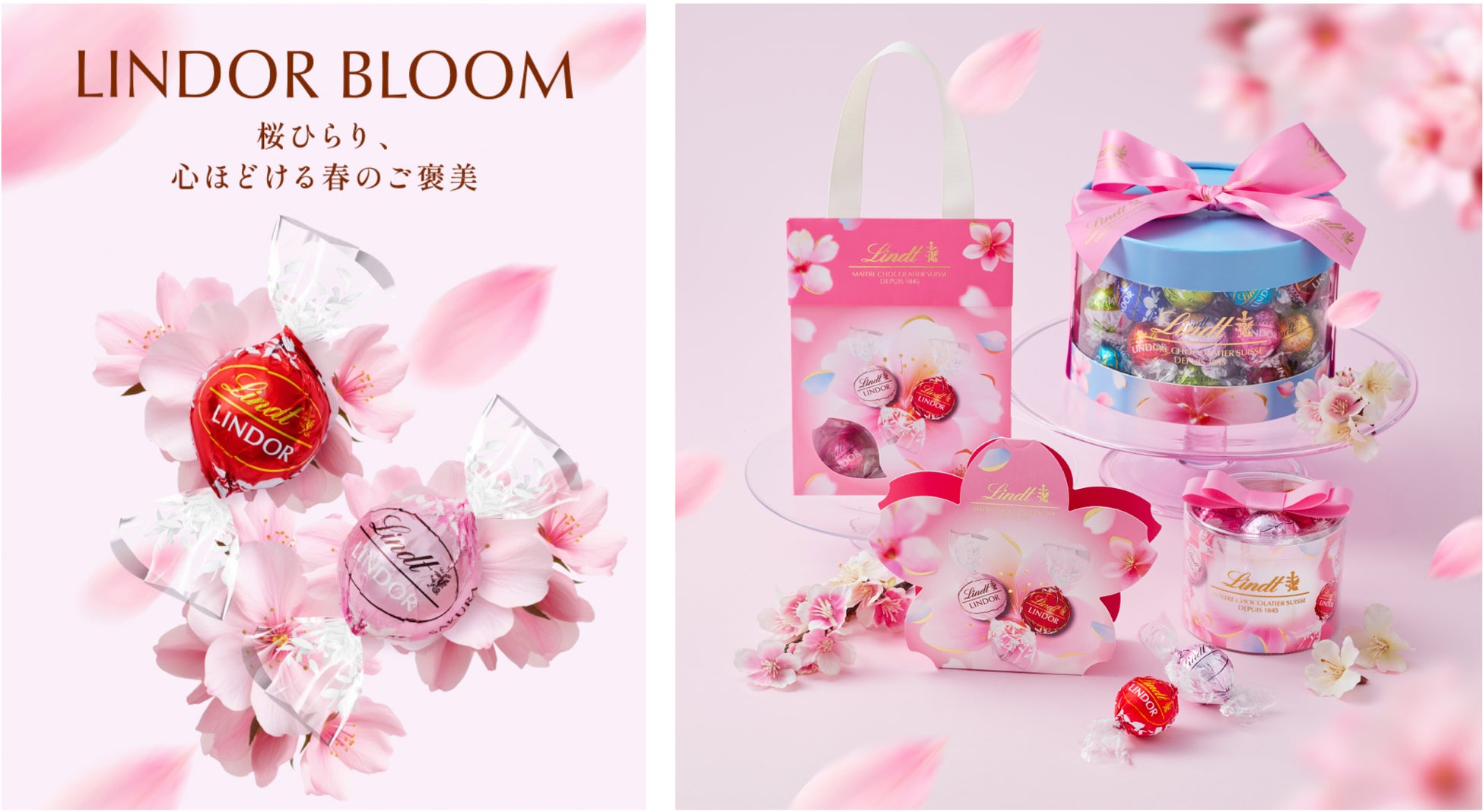 Cherry Blossoms Flutter, Hearts Unwind with Spring Treats - Lindt