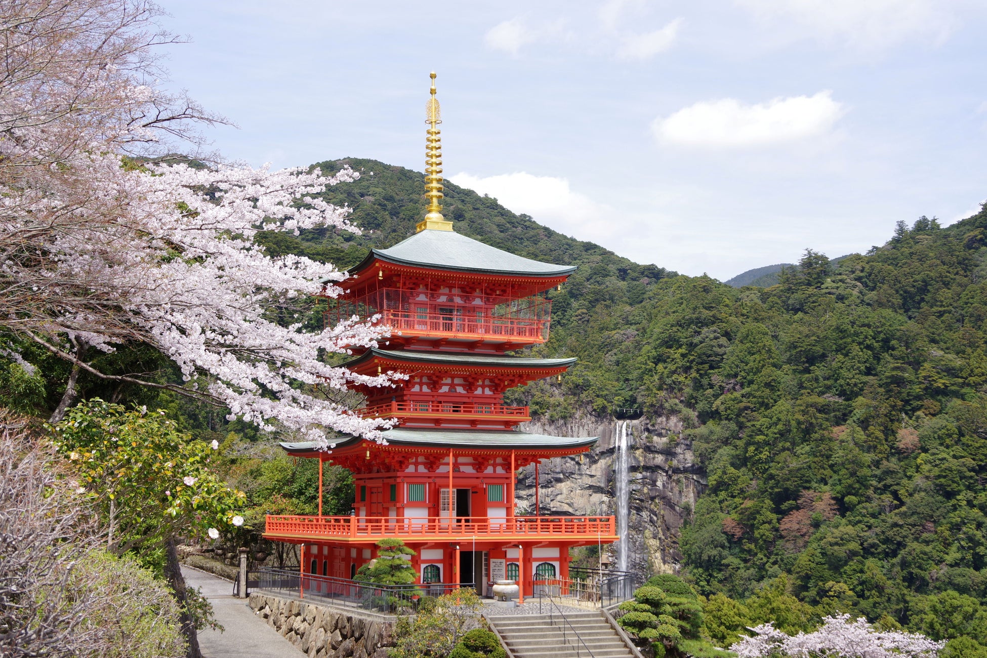 Cherry Blossom Season at Kumano Kodo's Daimon-zaka — Nachi Falls