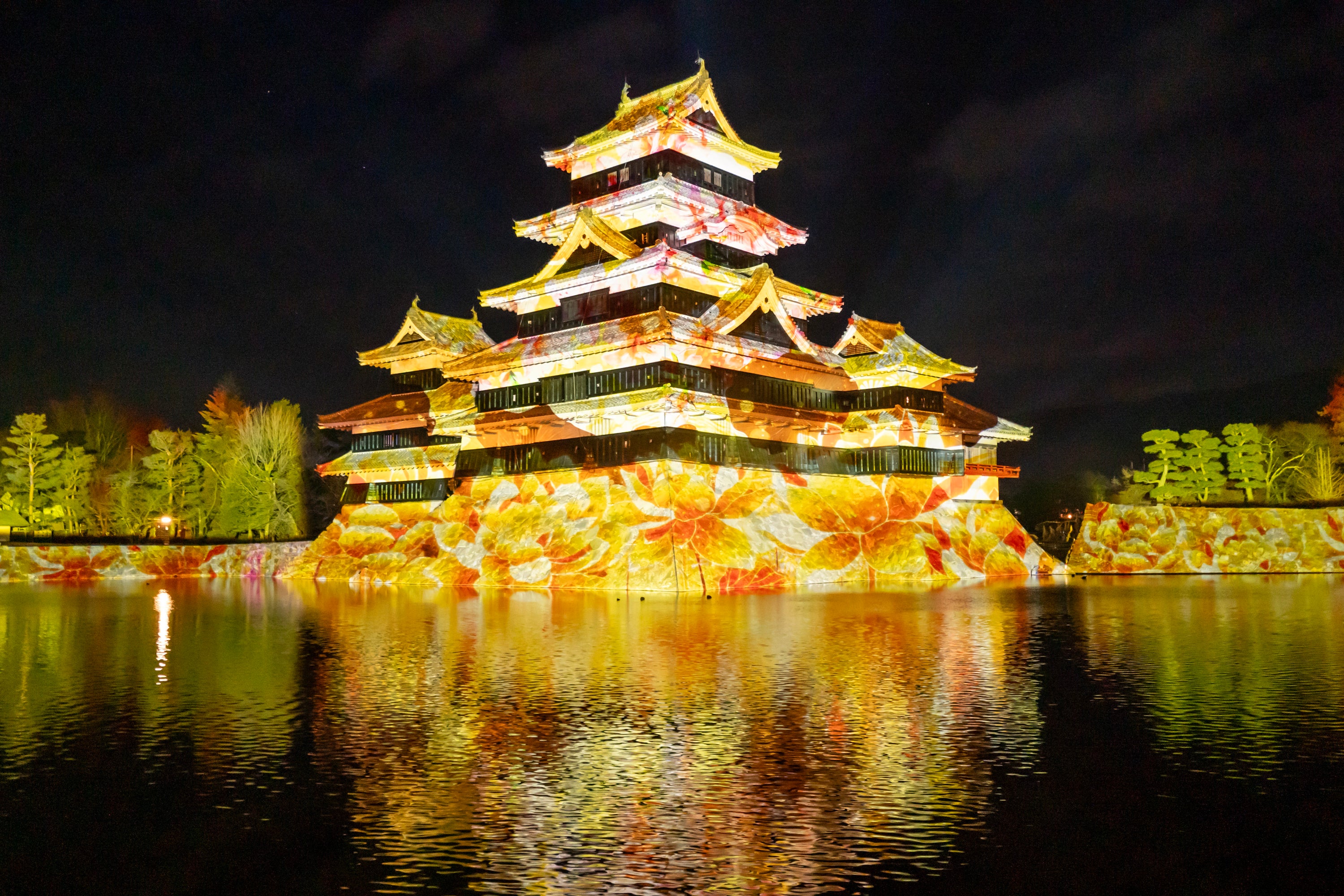 Cherry blossom projection mapping