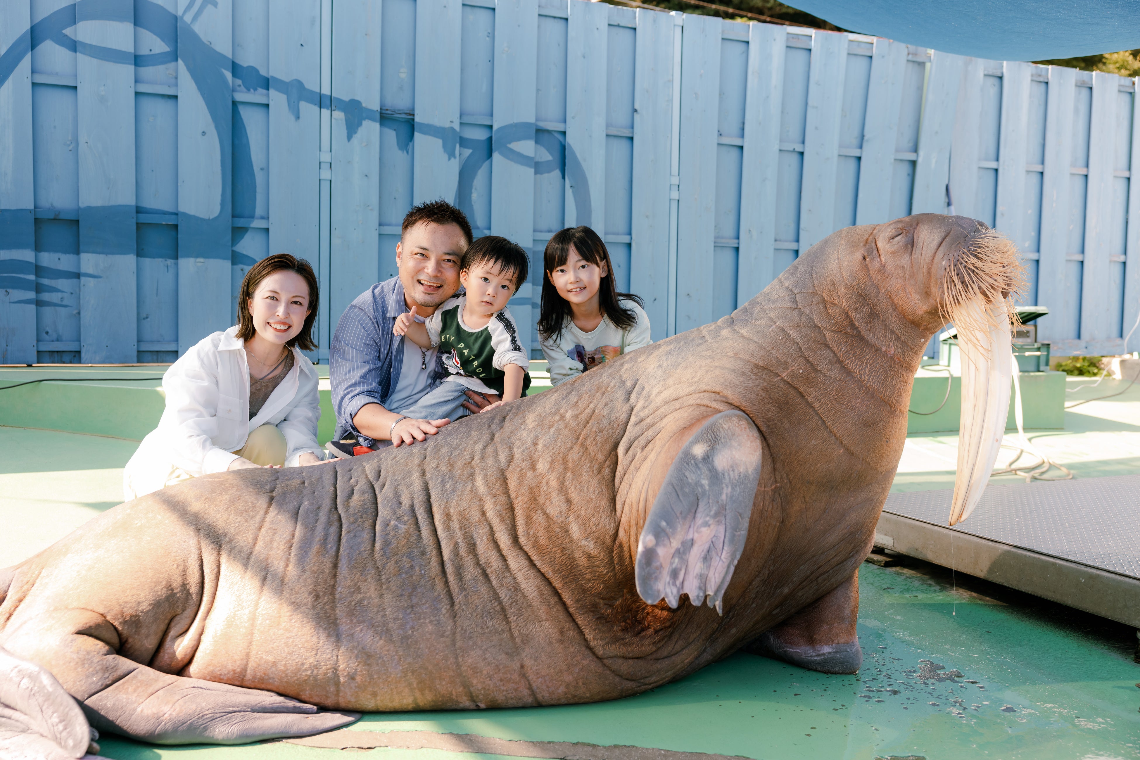 Ise Sea Paradise's Zero-Distance Animal Experience Receives Ise Brand ...