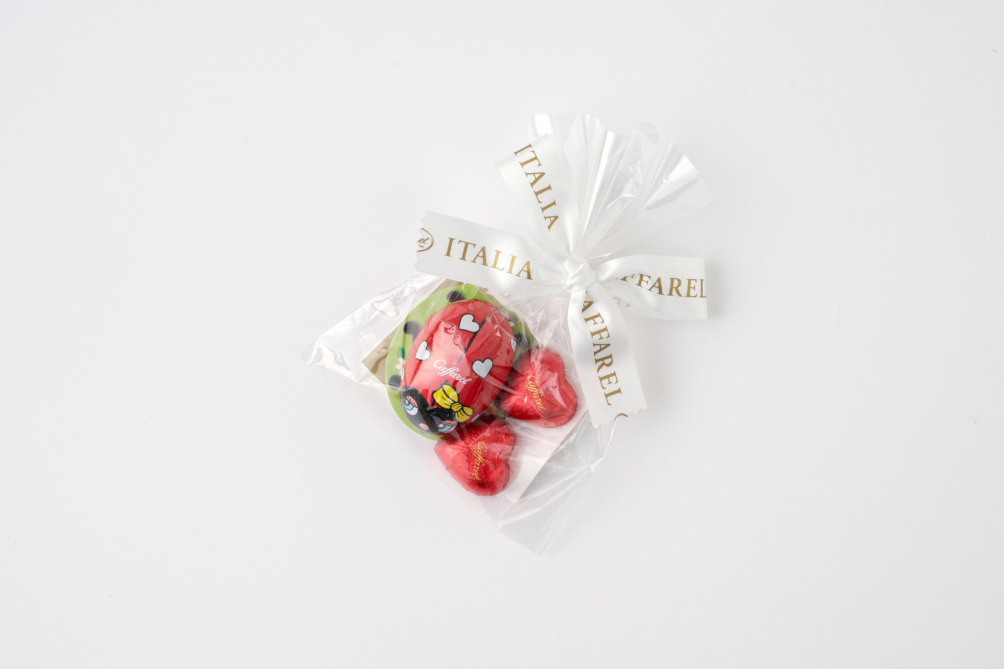 Ladybug and Mini Heart Set