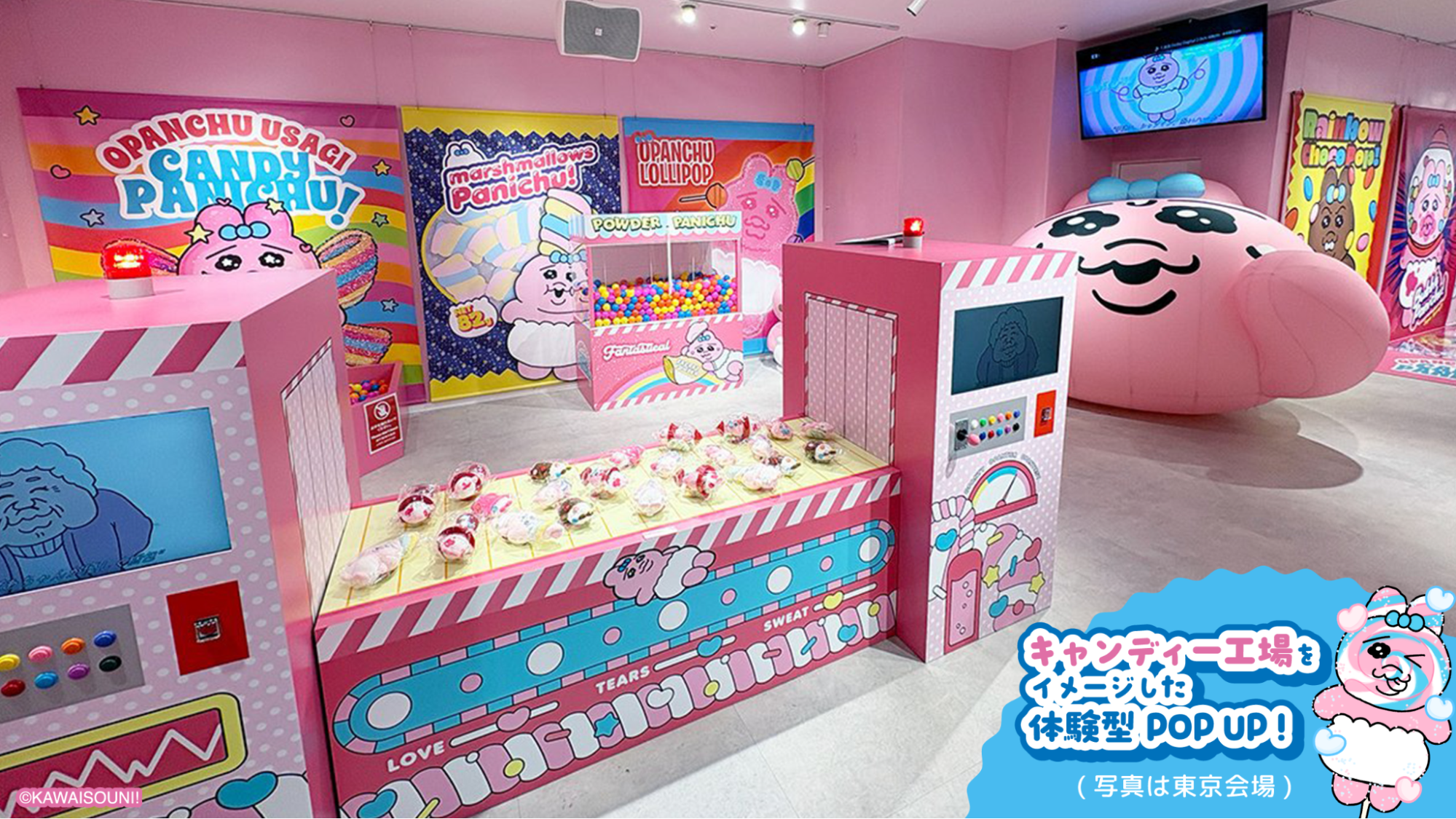 Decoración interior de la tienda