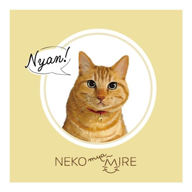 Memo Pad Cover Example