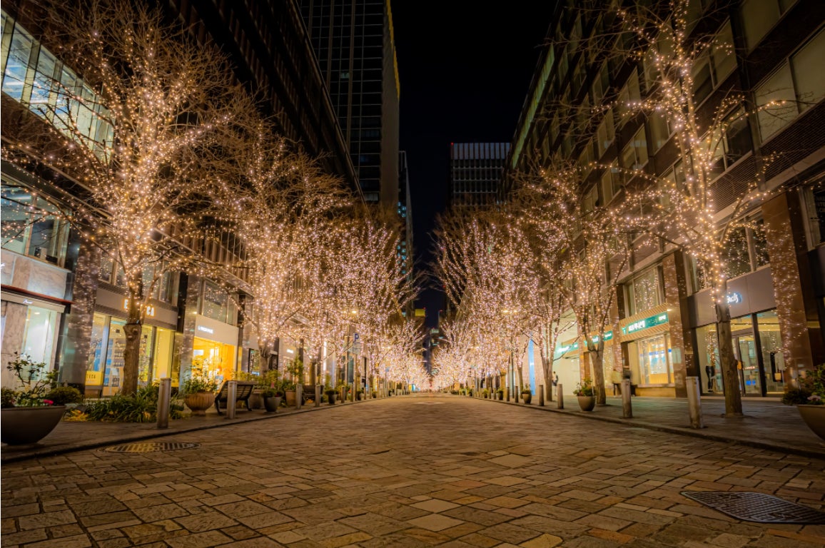 Marunouchi Nakadori Illumination