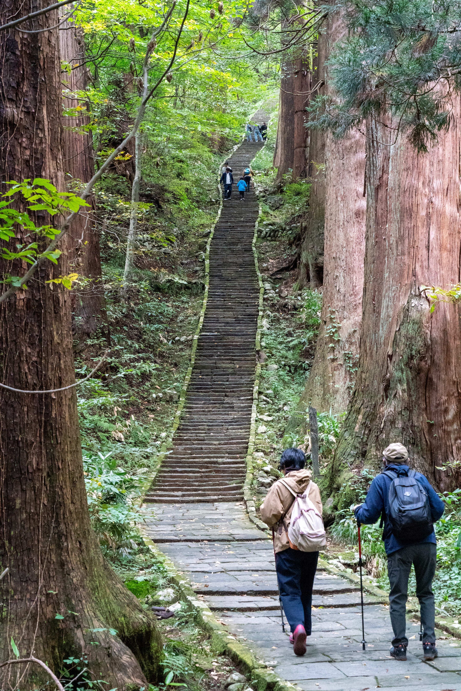二之坂懸崖溢油