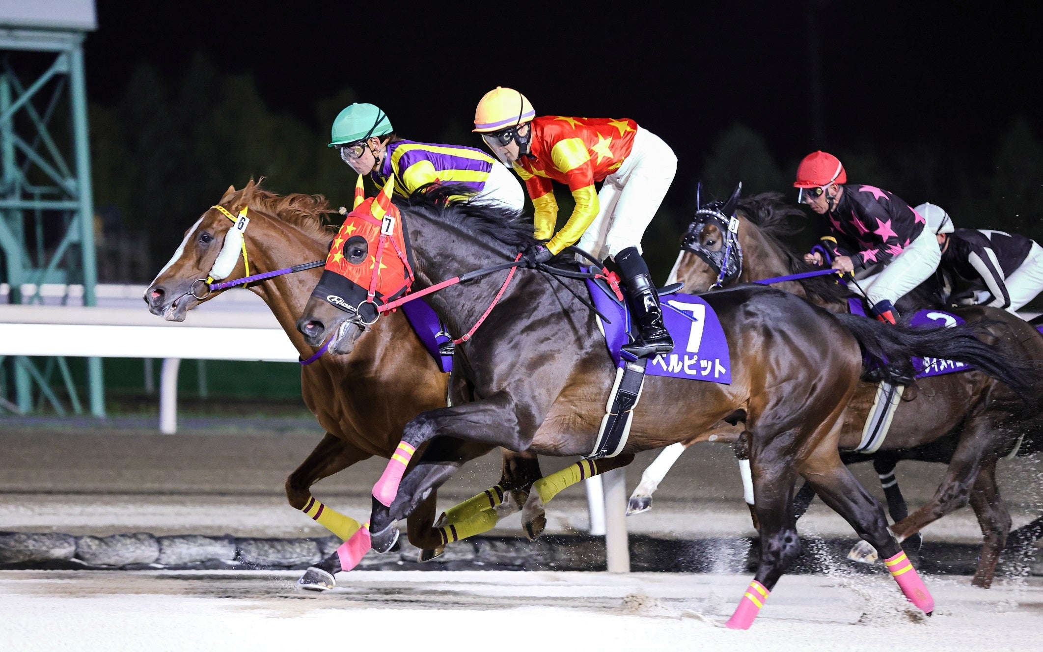 北海道體驗套餐