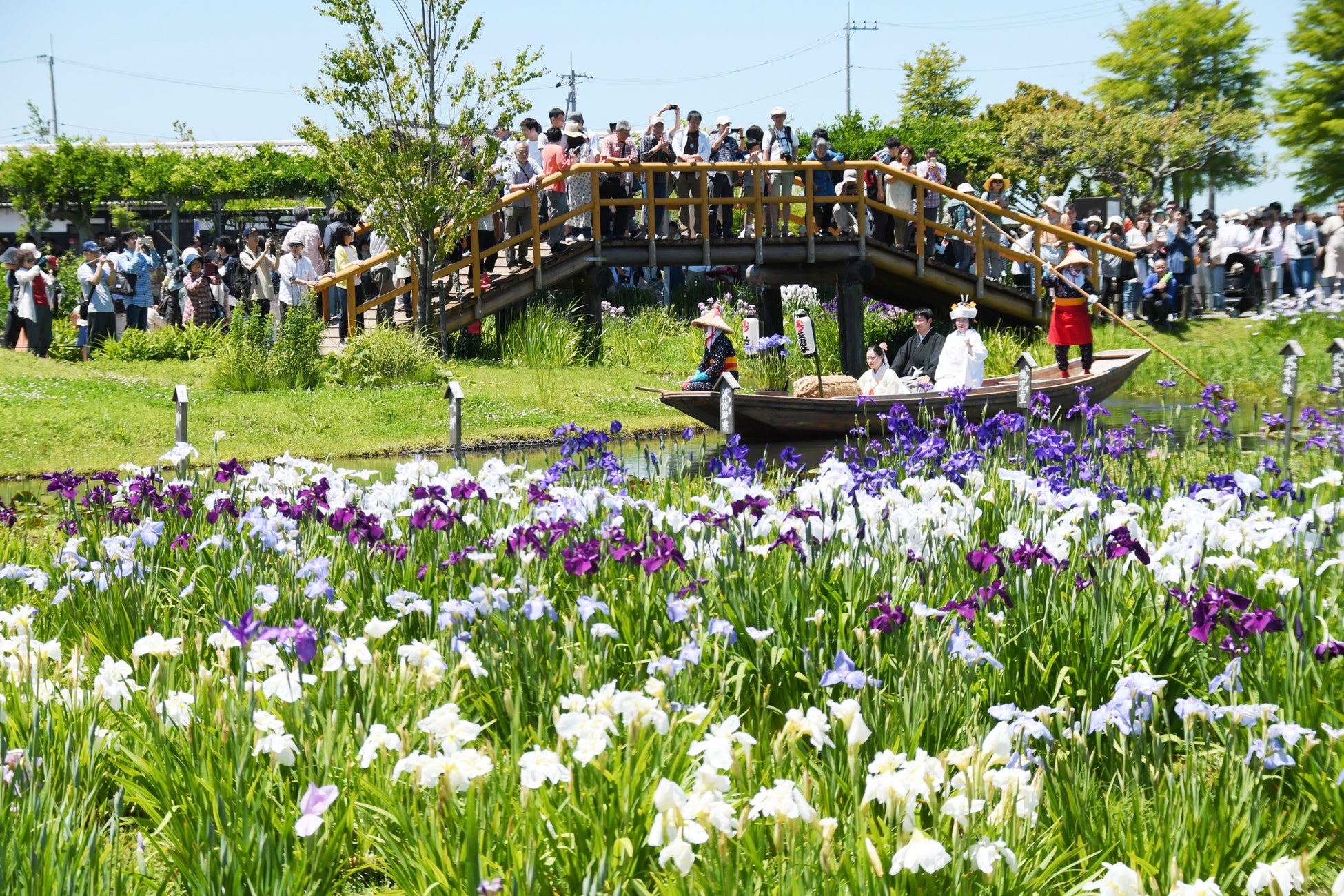 Evento de relaciones públicas para la feria de apoyo Ayame Matsuri se celebrará en el Hotel Nikko Narita, celebrando la temporada de lirios en Chiba