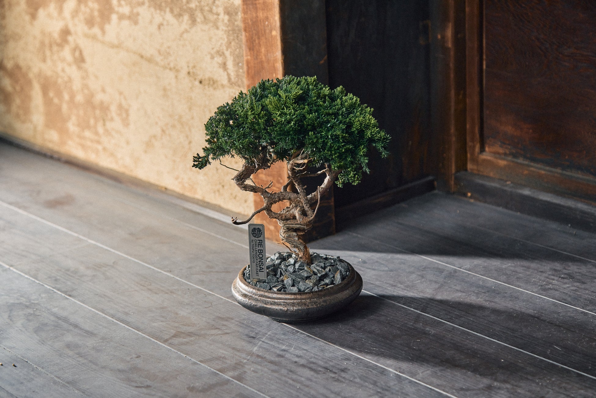 TOUFU TOKYO's RE BONSAI Pop-Up Returns to Hankyu Men's Tokyo for a