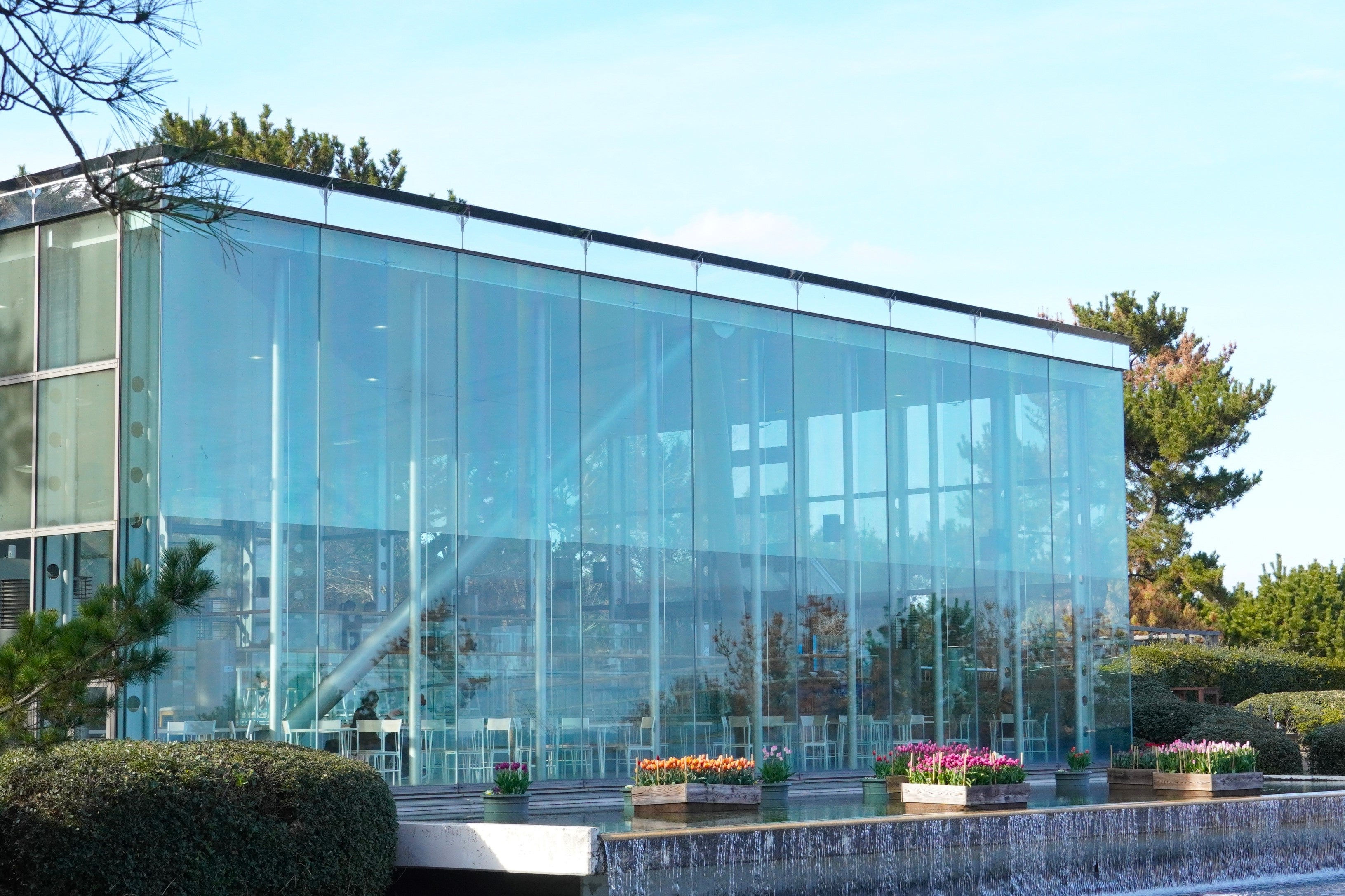 以新年为主题的温室展示