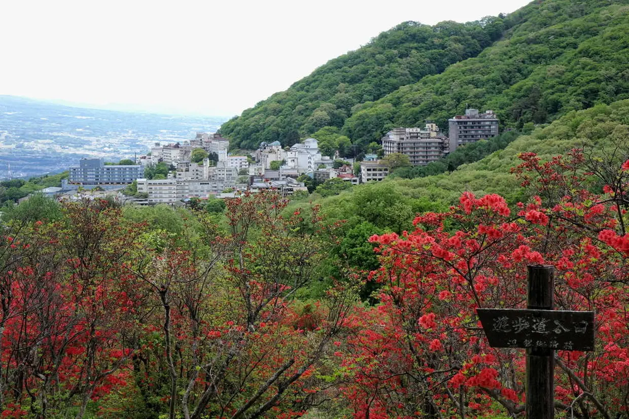 Nagamine Park