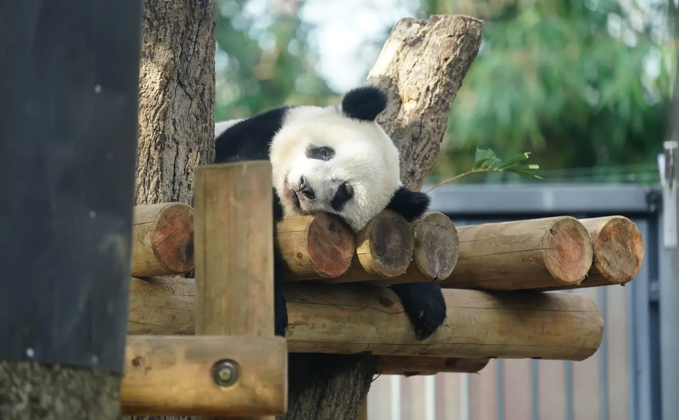 雅玫的《 光和作用》与光同行，得活在自己的光里- 北青周刊官网, image size:1336x826