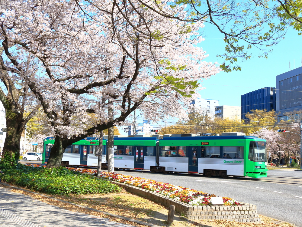 봄철 히로시마에서 해야 할 일 5가지: 벚꽃, 날씨, 패션, 여행 전 알아두면 좋은 것들