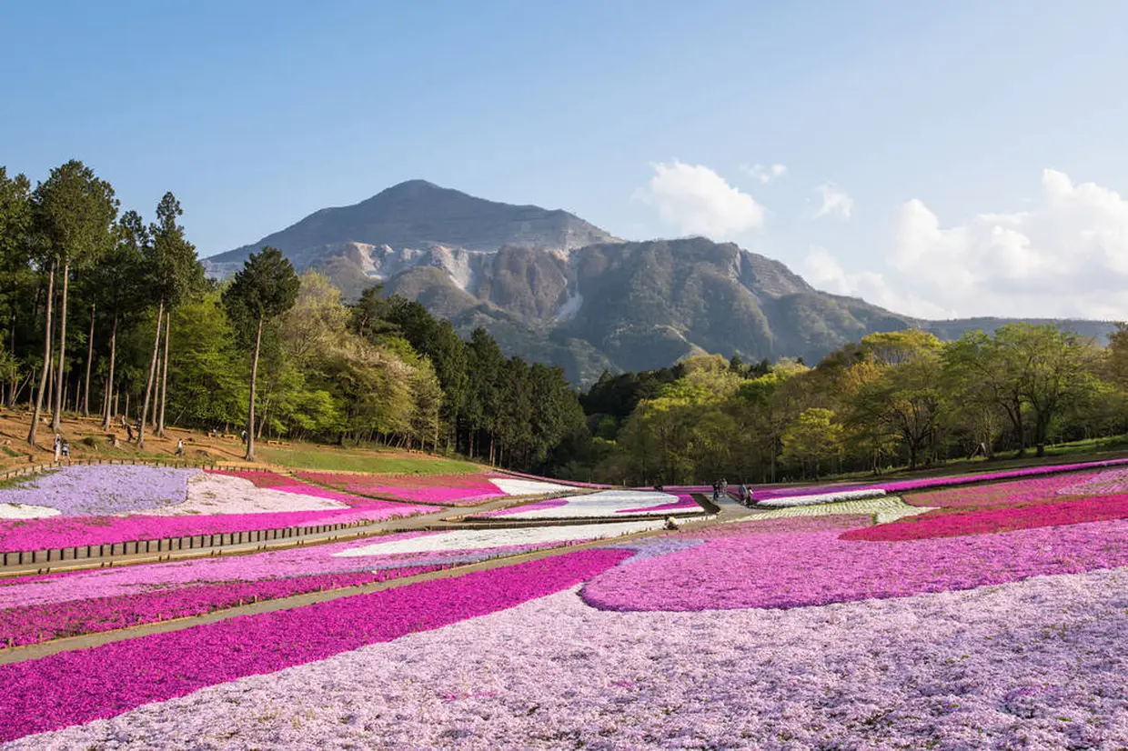洋山公園