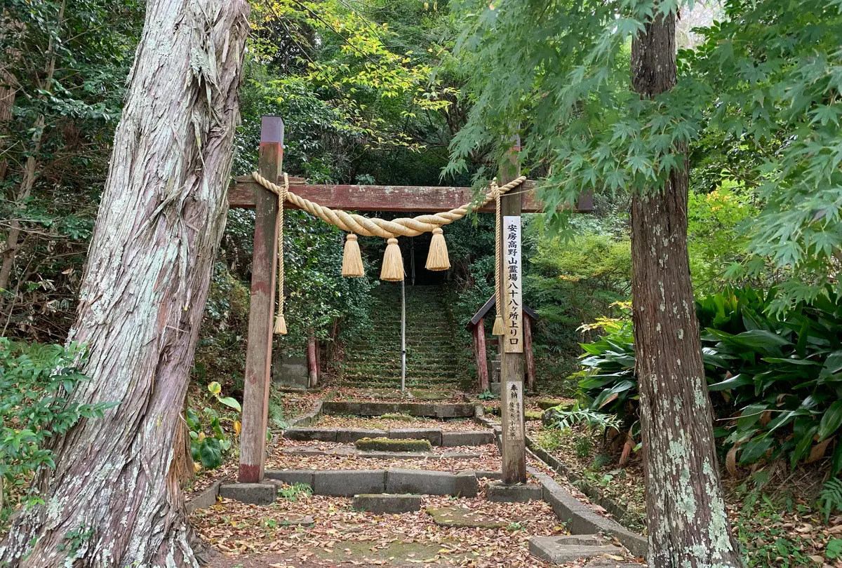 Things to Do in Tateyama: A day trip to enjoy gourmet food and sightseeing spots by cycling
