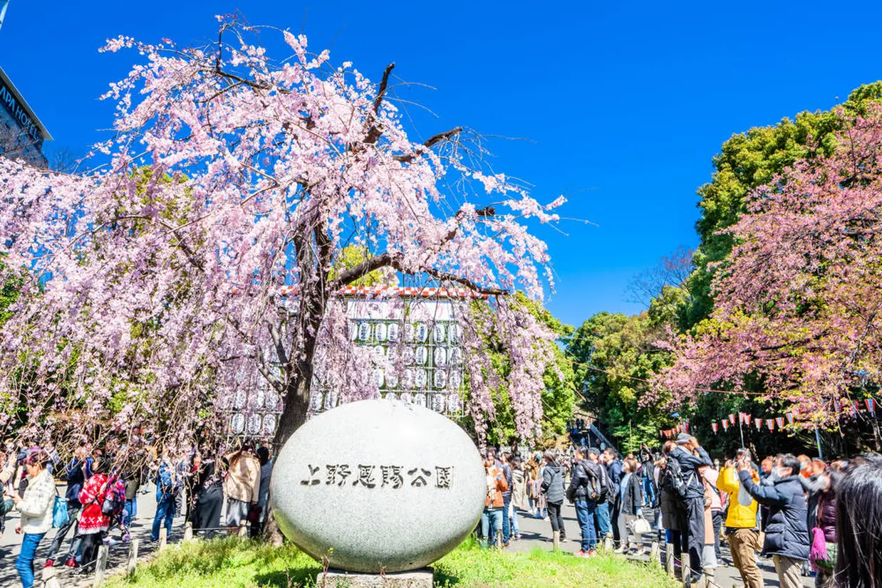 Ueno Park (上野恩賜公園)