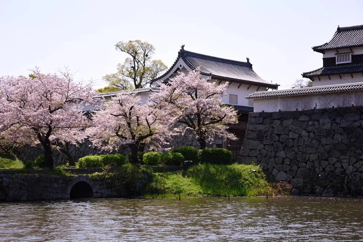 Maiduru Park（舞鶴公園）