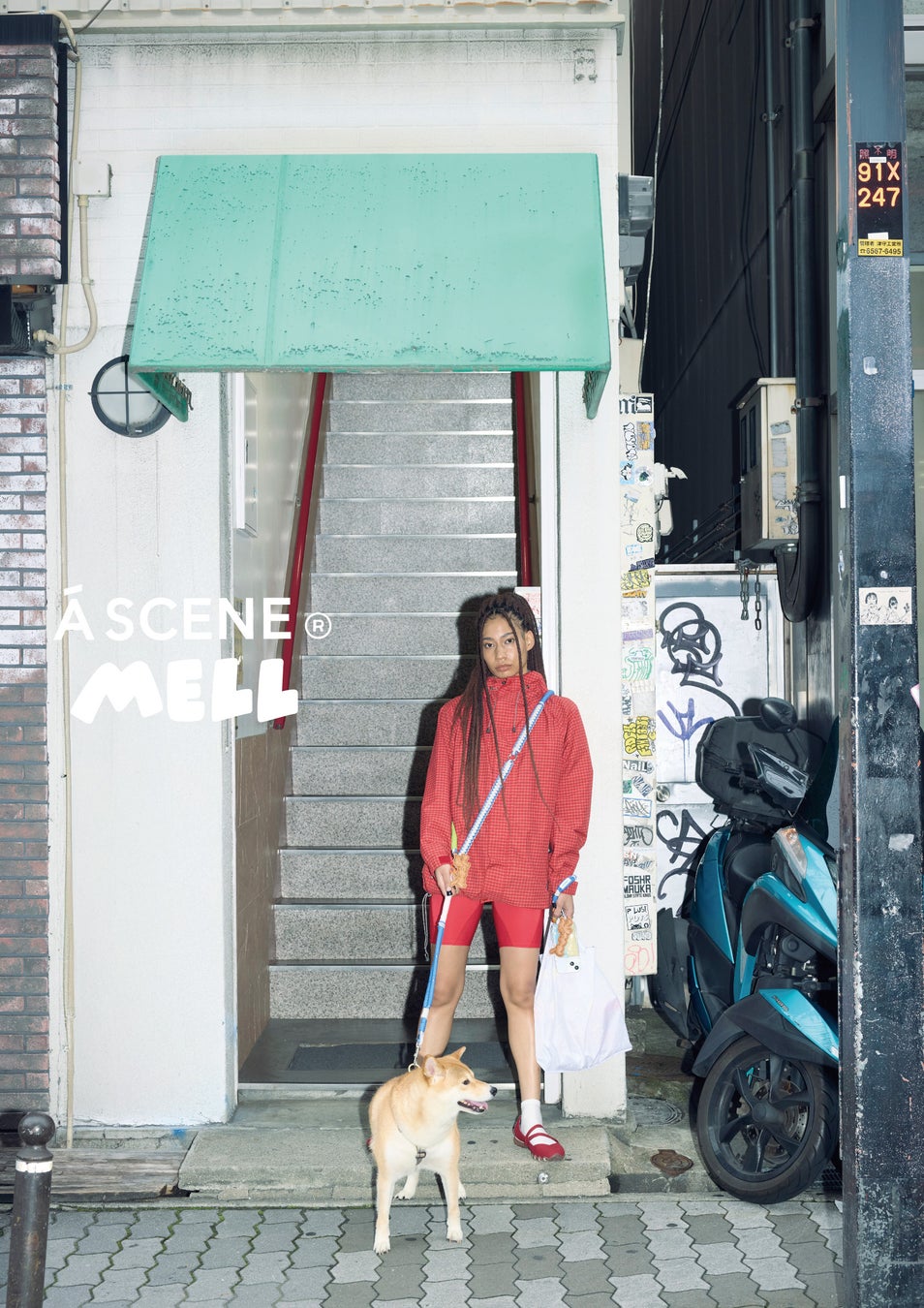 Gadget Accessory Brand A SCENE Launches First Collaboration With Pet Lifestyle Brand MELL