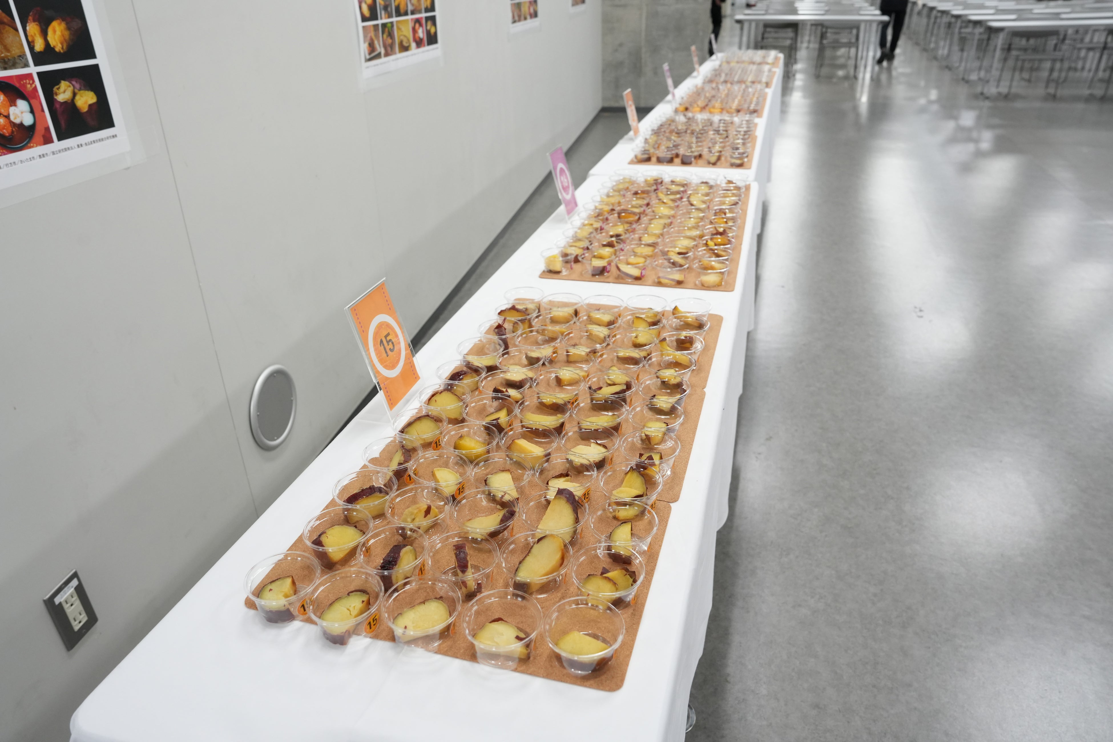 Tasting judge session photo 1