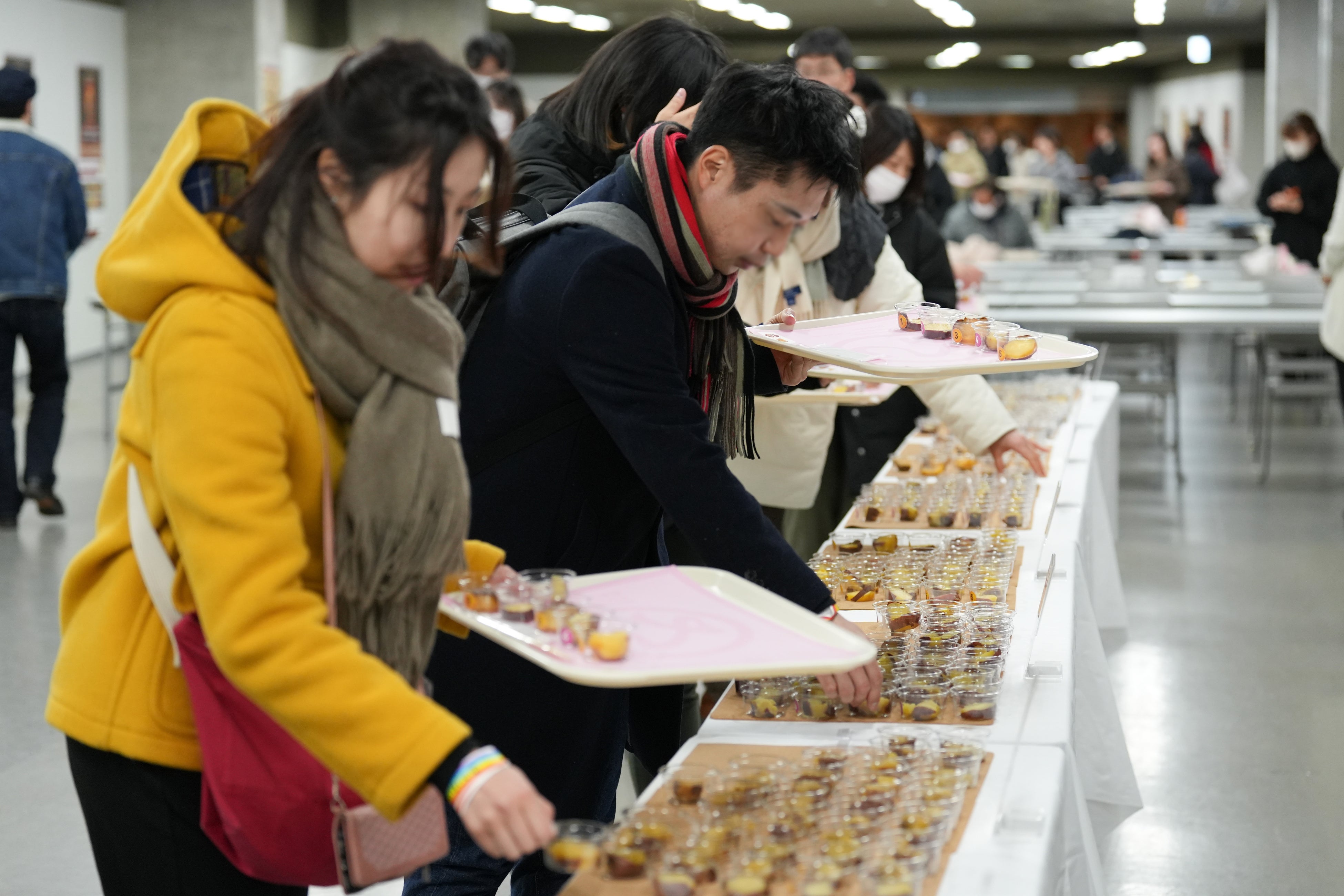 Tasting judge session photo 2