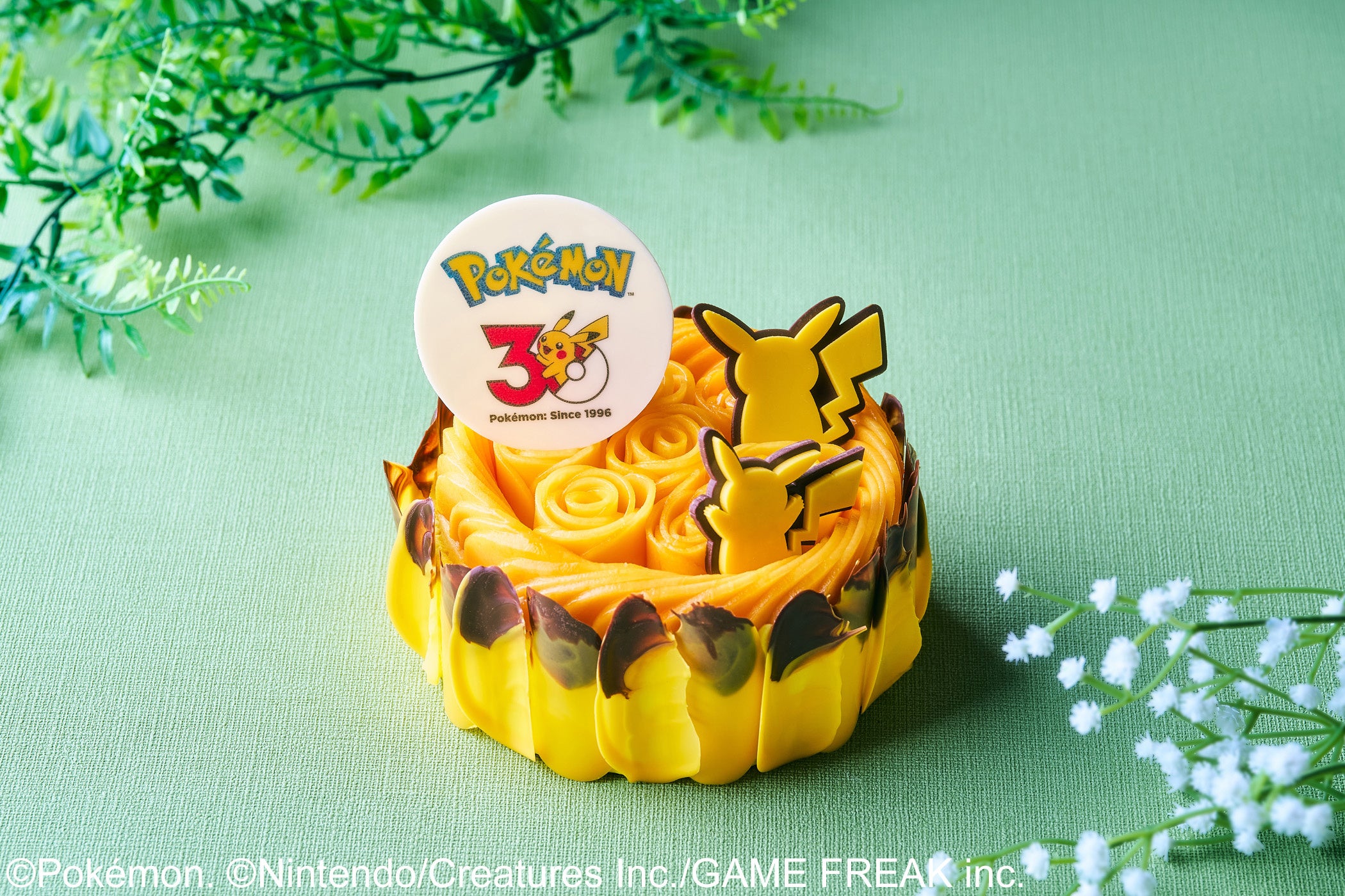 Pokémon 30th Anniversary Collaboration Grand Adventure at Grand