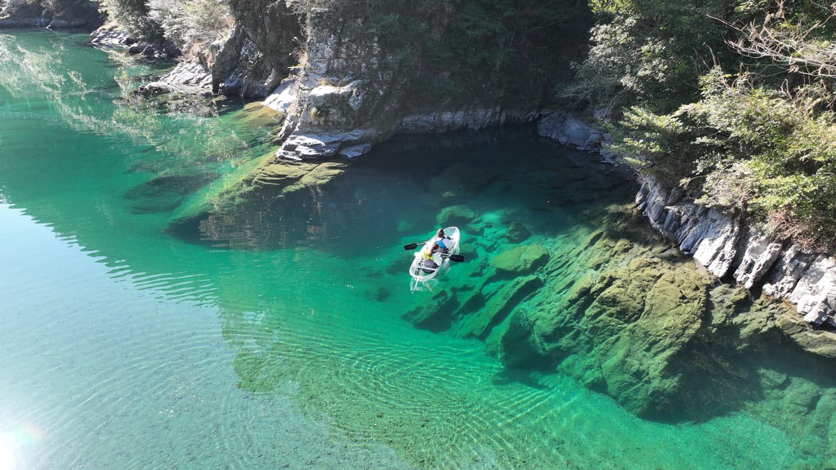 Crystal Kayak Experience on the Niyodo River – Paddle Through Japan's Clearest Water in Kochi - Image 10
