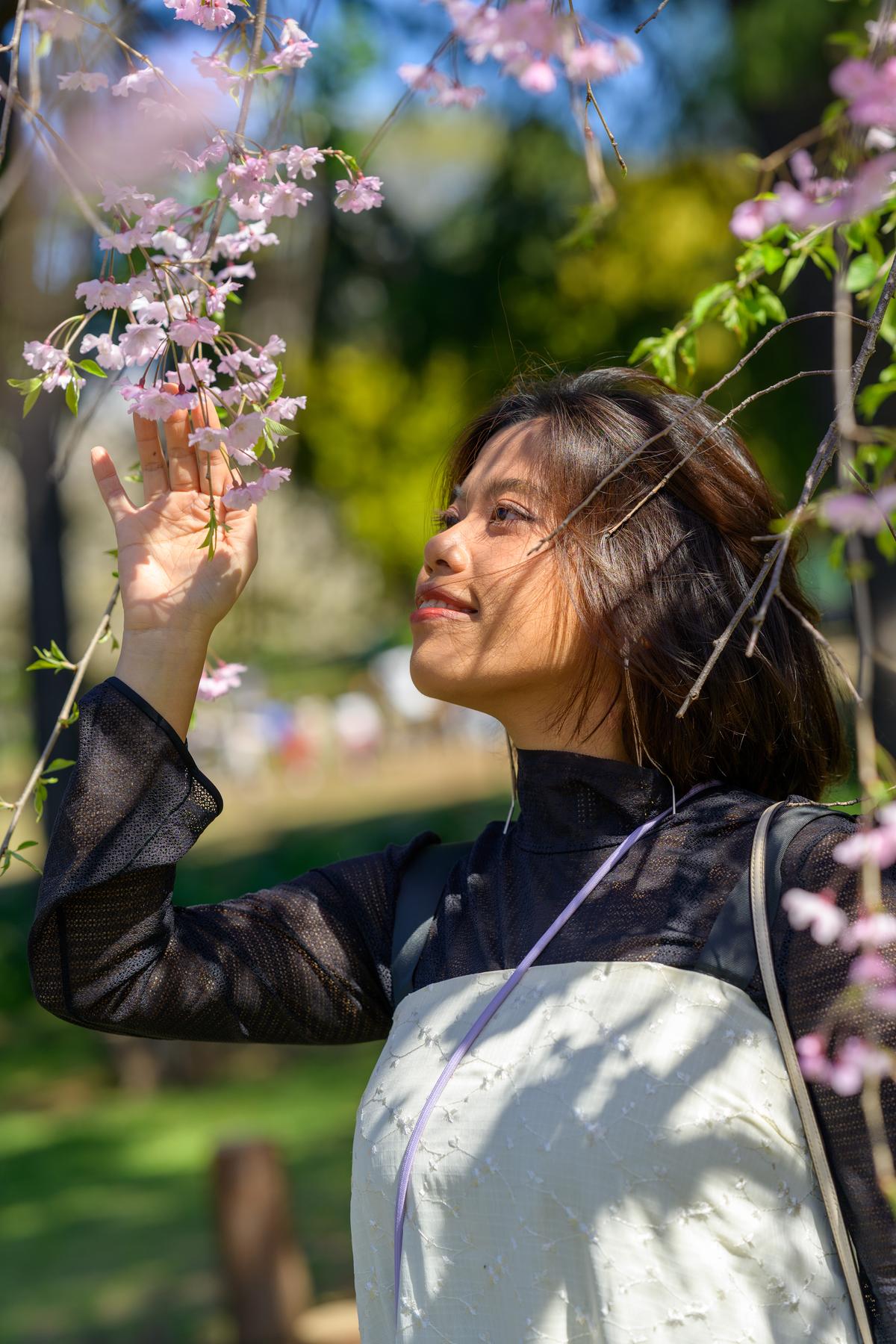 Foto Pribadi 1 Jam di Tokyo - Bunga Sakura Meguro - Image 4