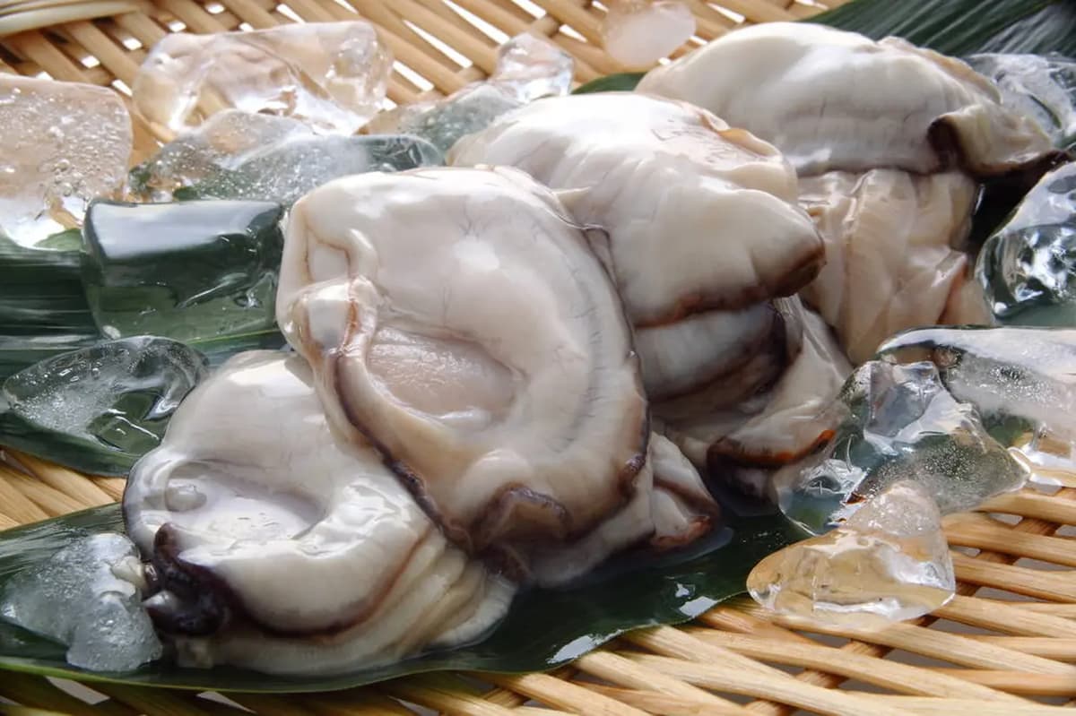 广岛市、宫岛、吴市夜间特色居酒屋之旅 - Image 7