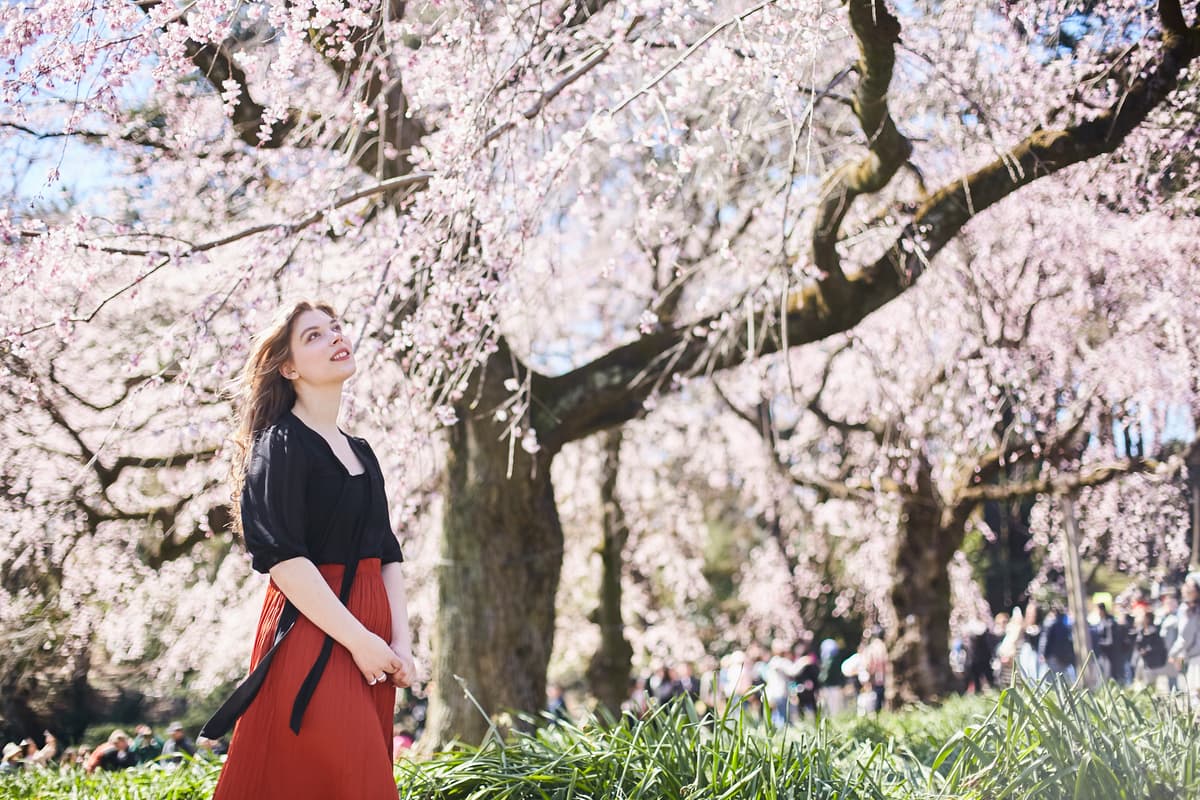 1 Hour Private Photo Shoot in Tokyo (Bespoke Photography Tailored to Your Unique Story) - Image 11