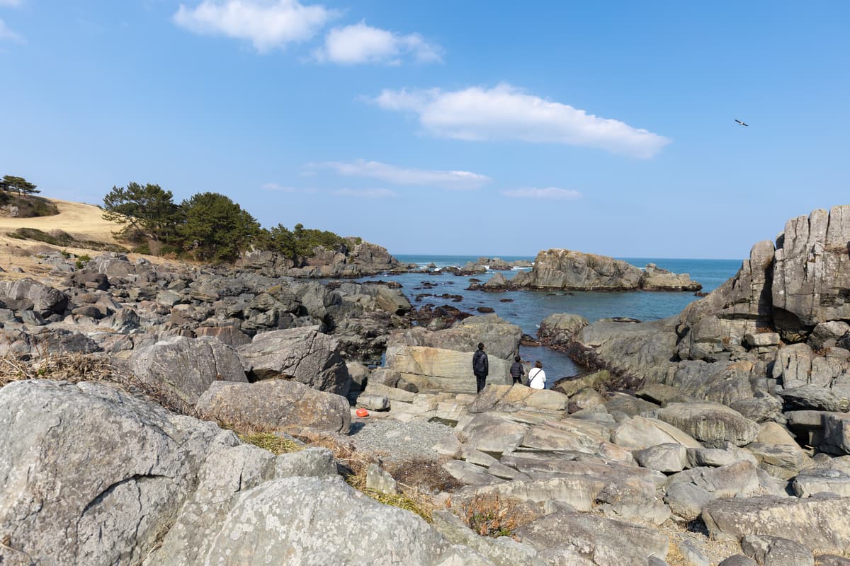 Descubre el Hachinohe más secreto con una fotógrafa local: mercado matutino de Tatehana Wharf y paseo costero - Image 14